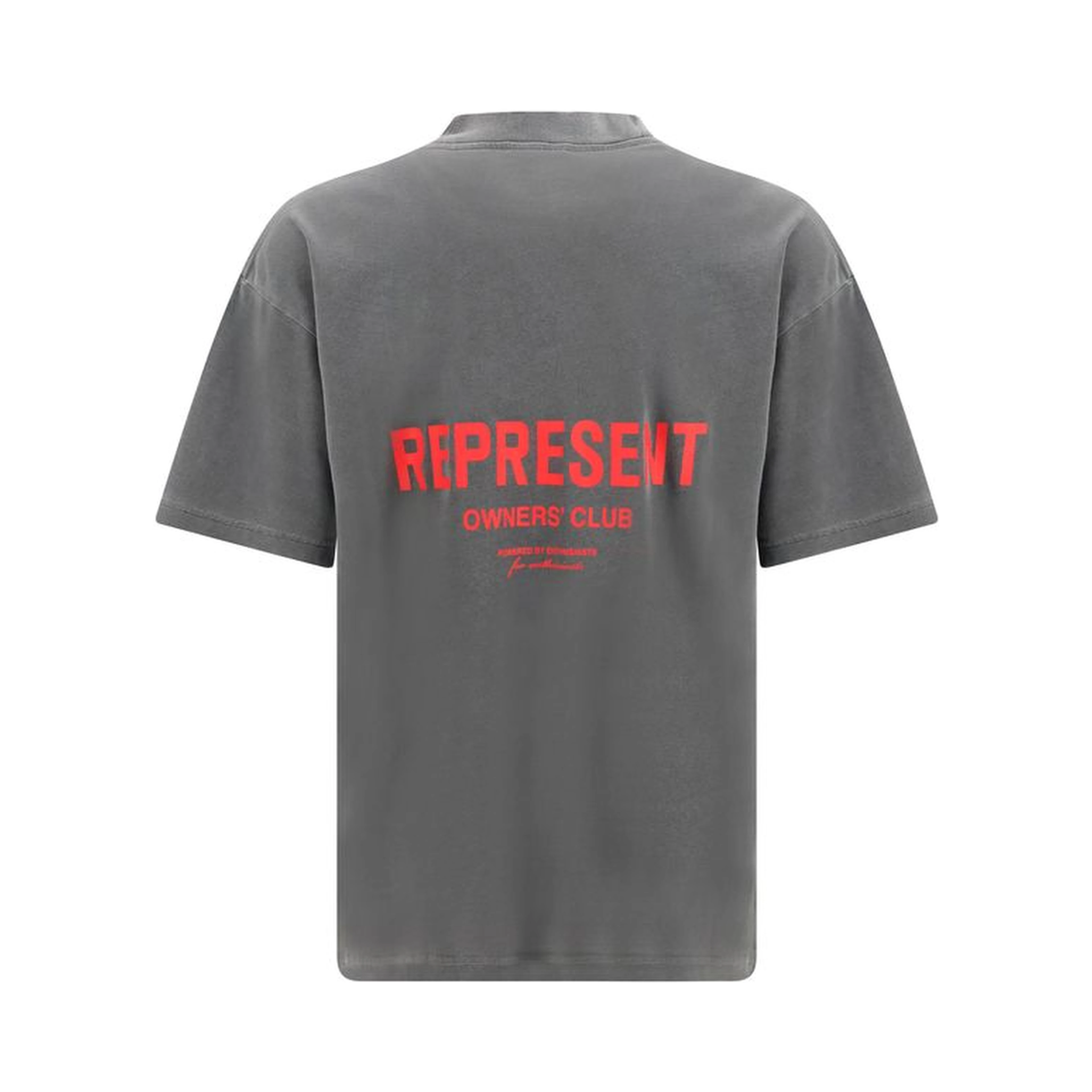 Gray Cotton T-Shirt