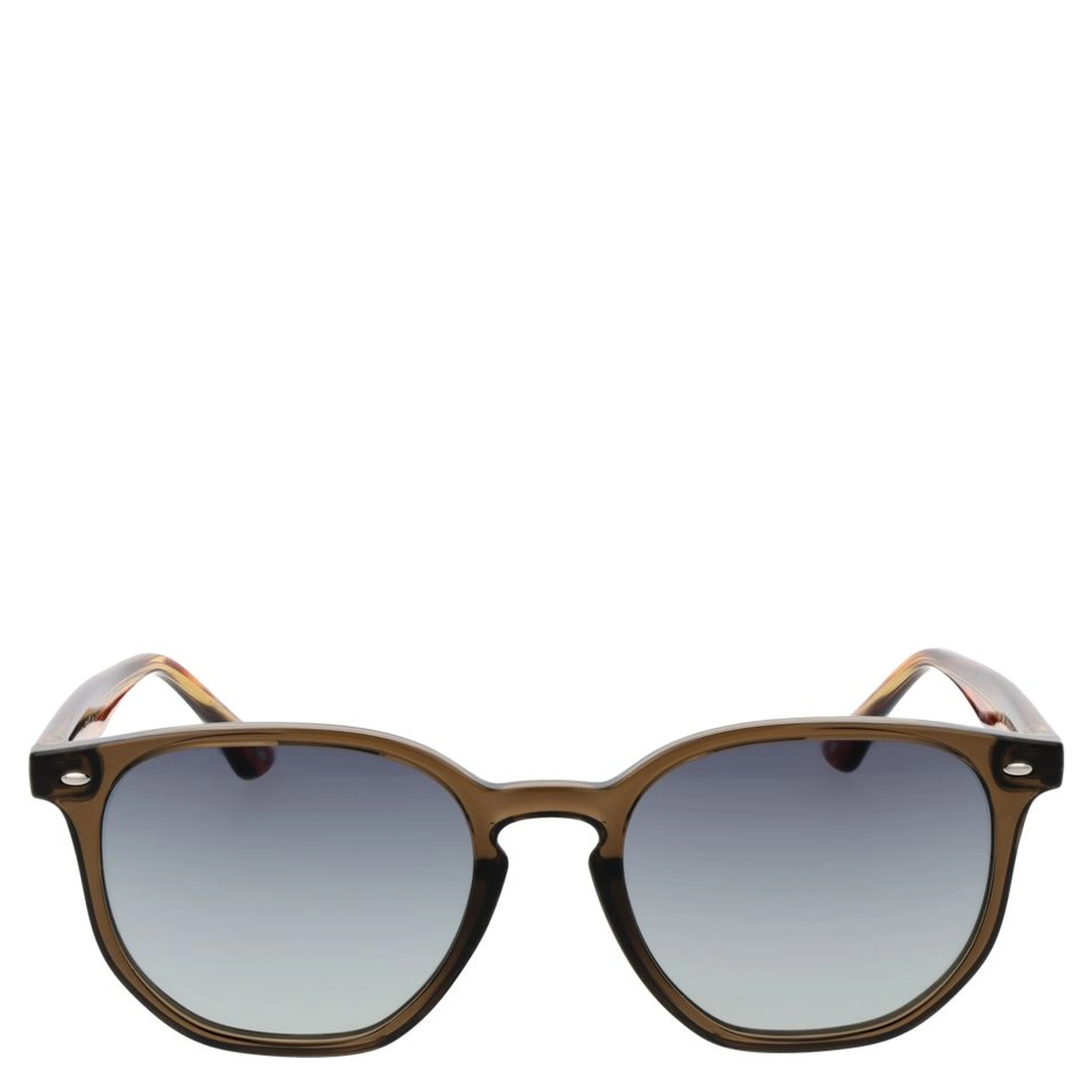 Brown Acetate Sunglasses