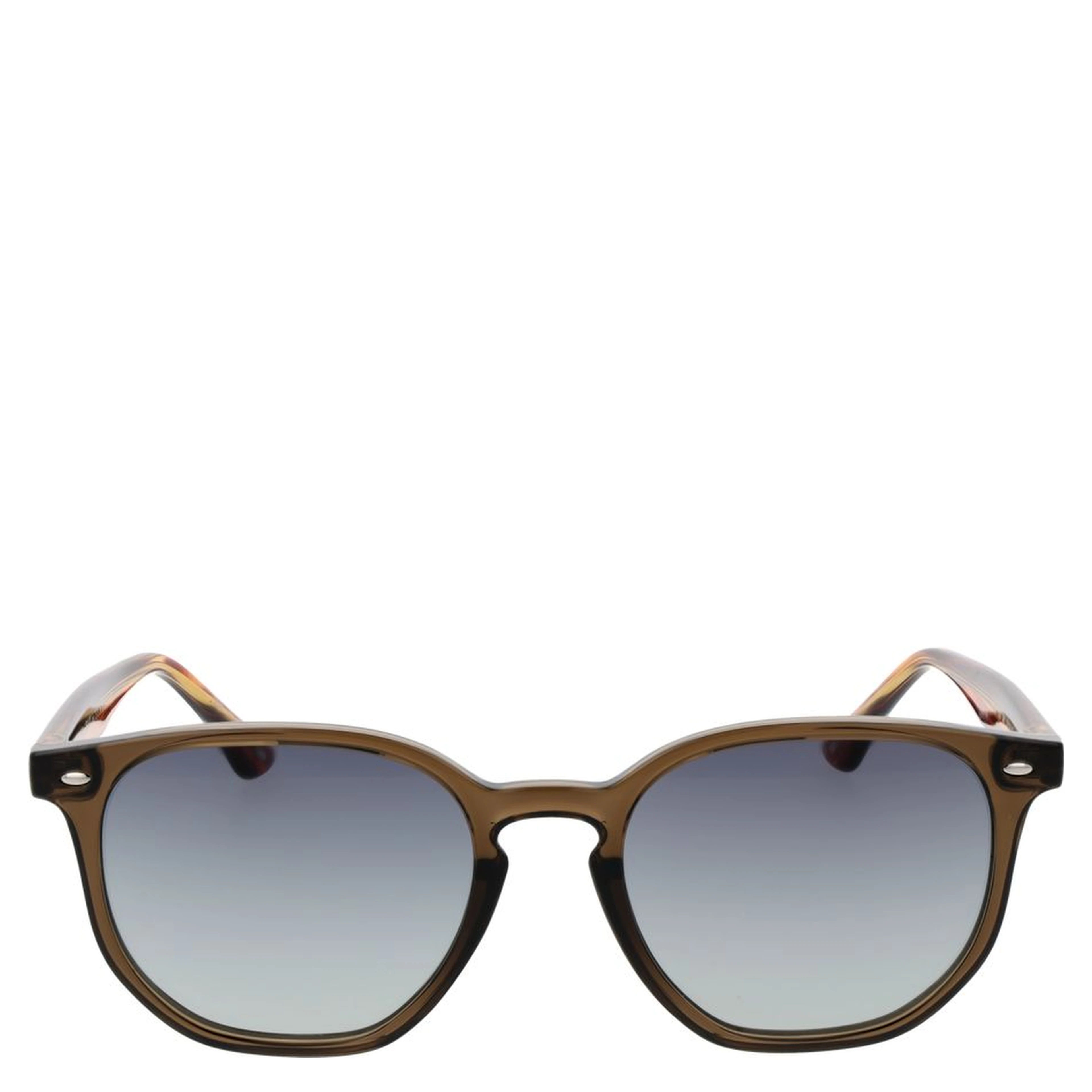 Brown Acetate Sunglasses