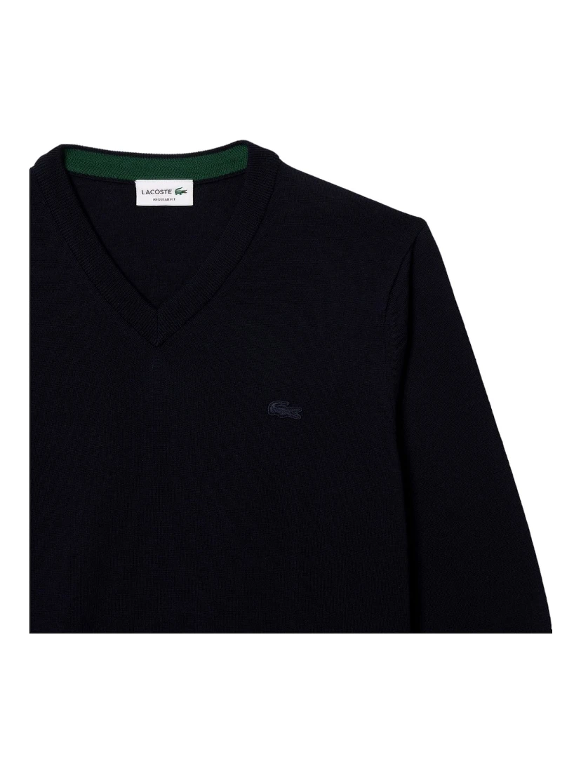 Lacoste Sweaters Blu