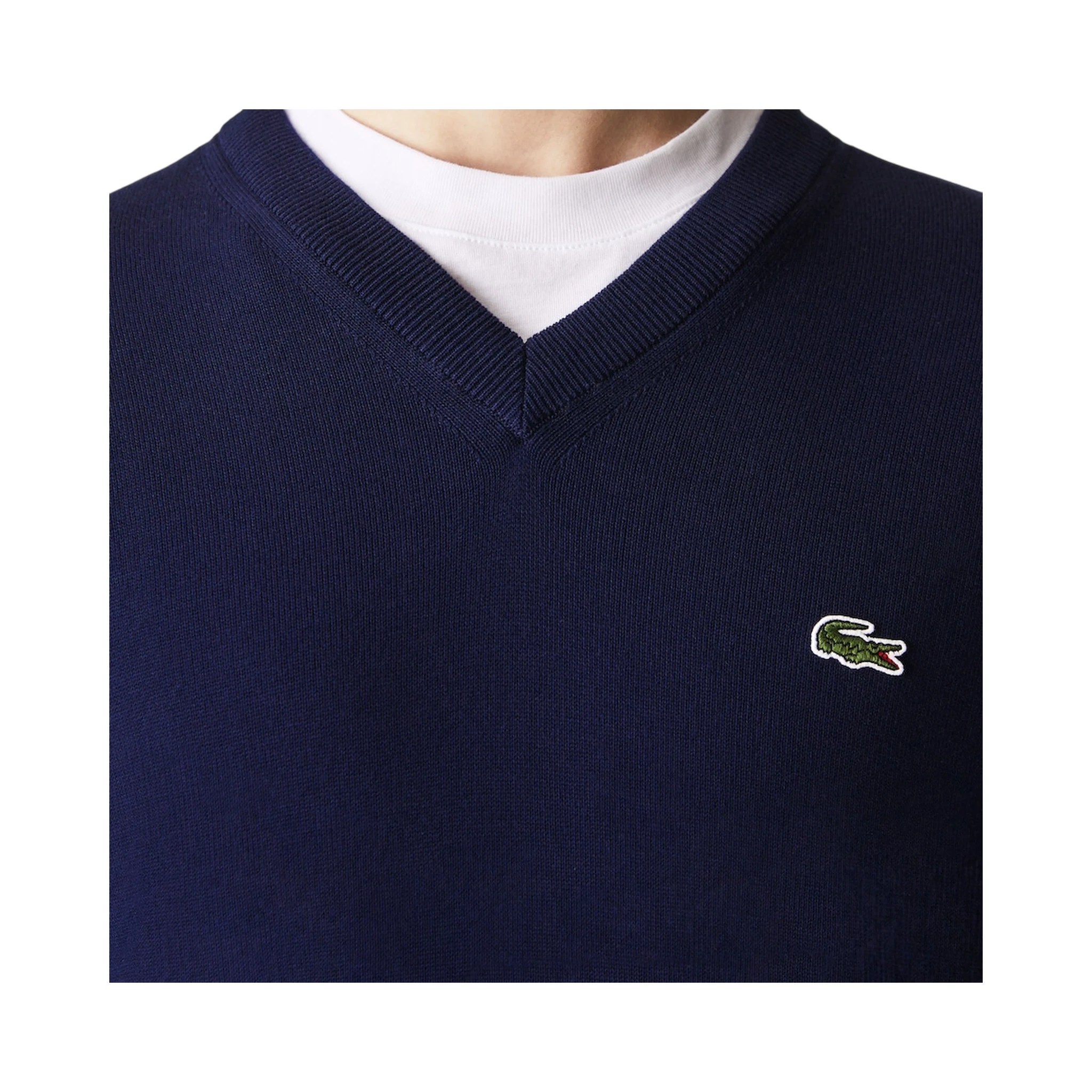 Lacoste Sweaters Blu
