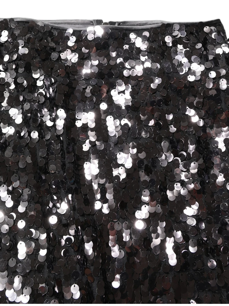 Brown Sequinned Embellished PencilCut Skirt