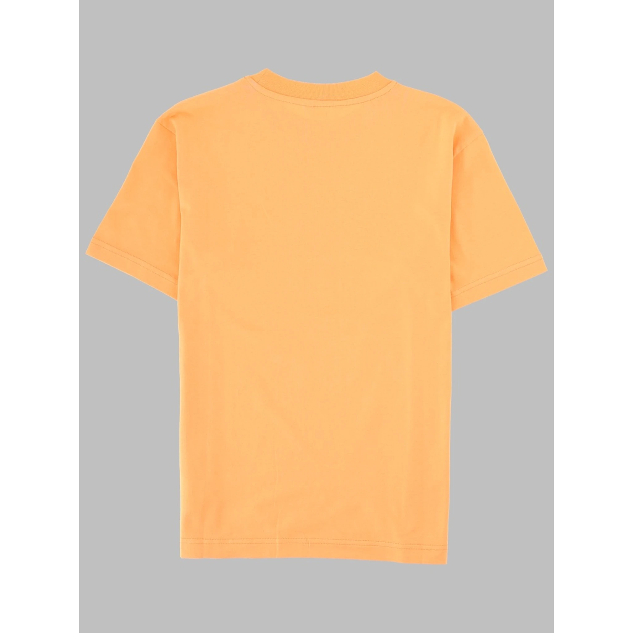 palm angels bear t-shirt boy