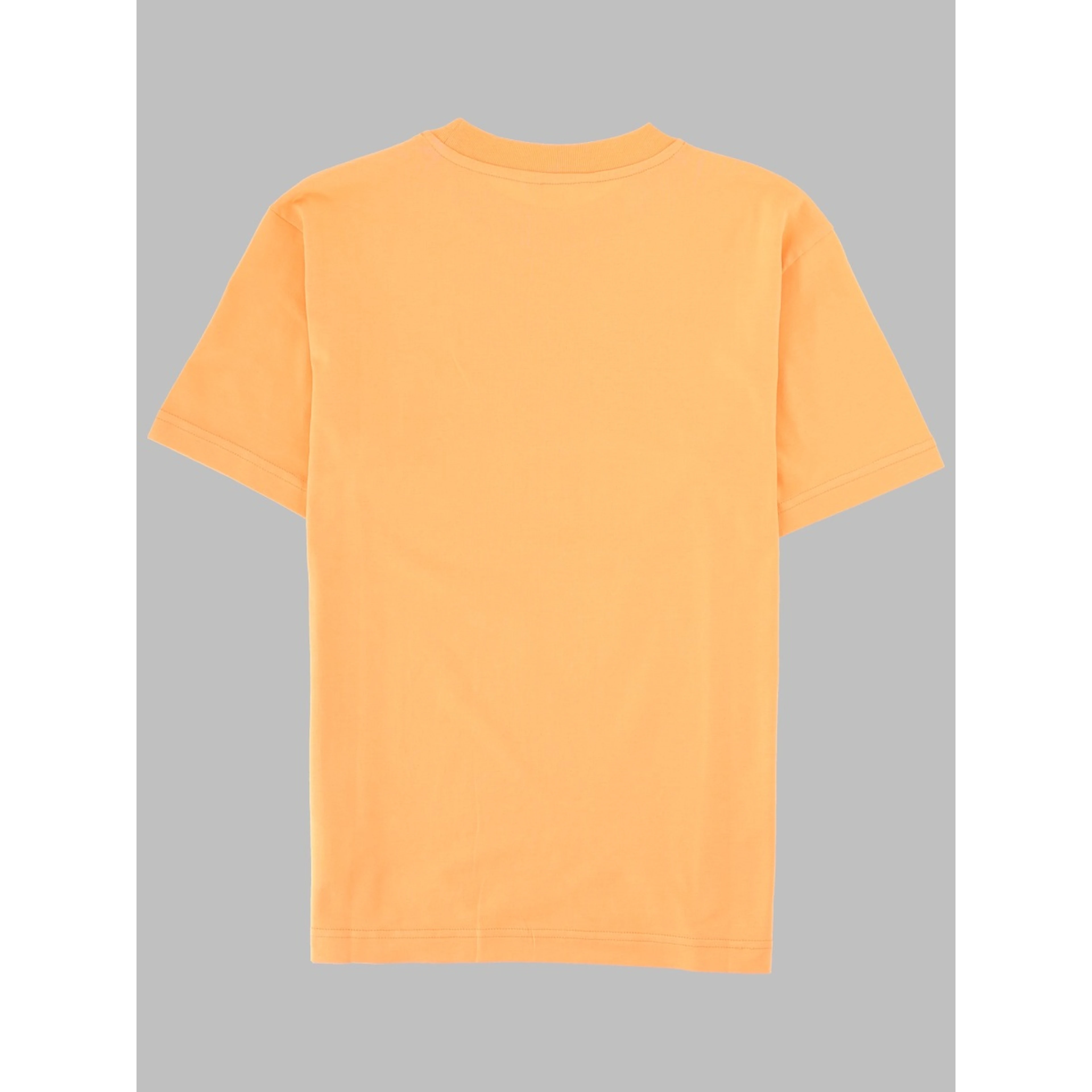 palm angels bear t-shirt boy