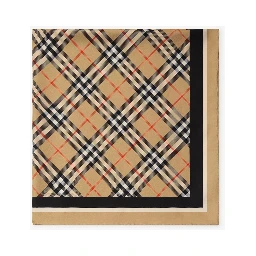 BURBERRY scarf