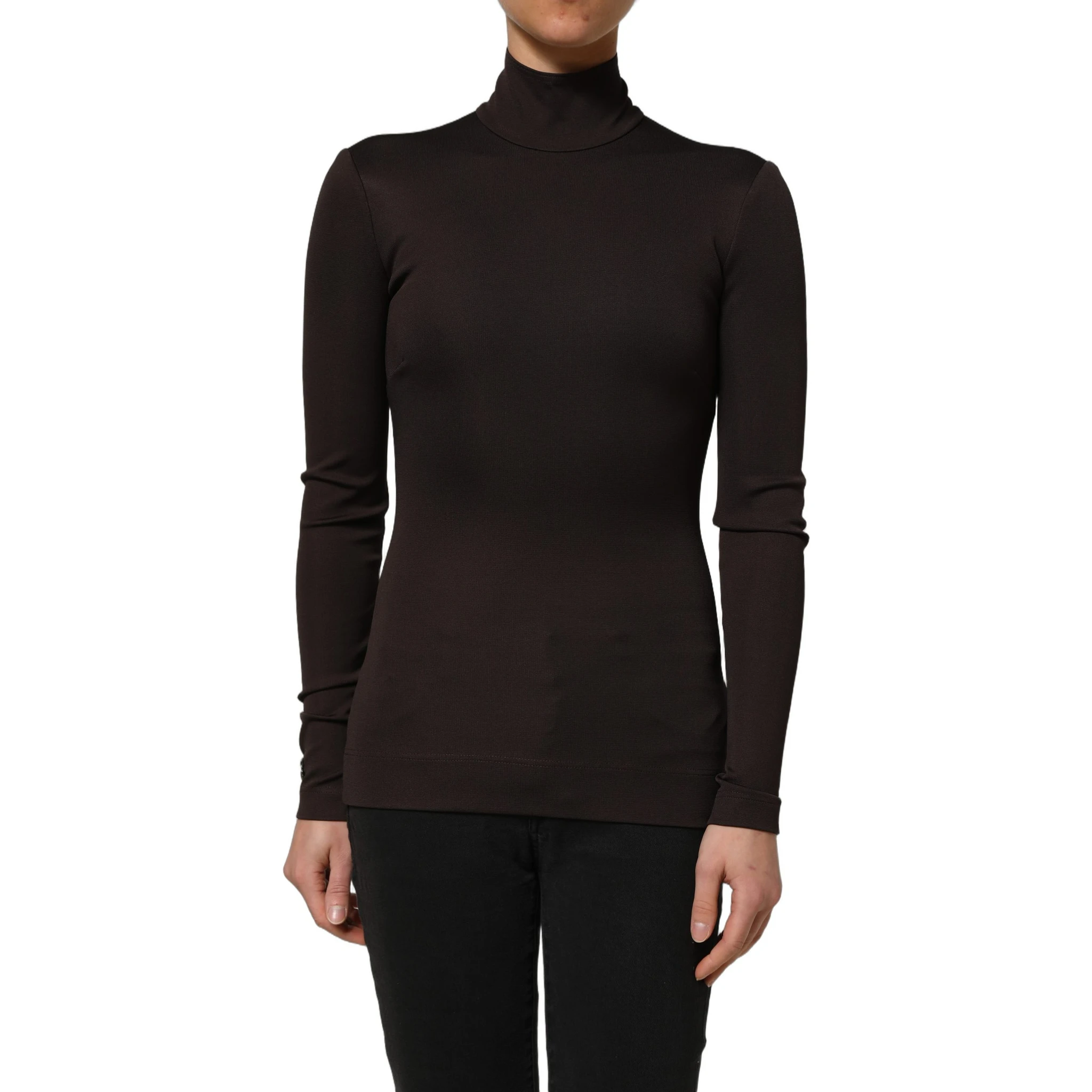 Brown Turtleneck Long Sleeves Blouse Top
