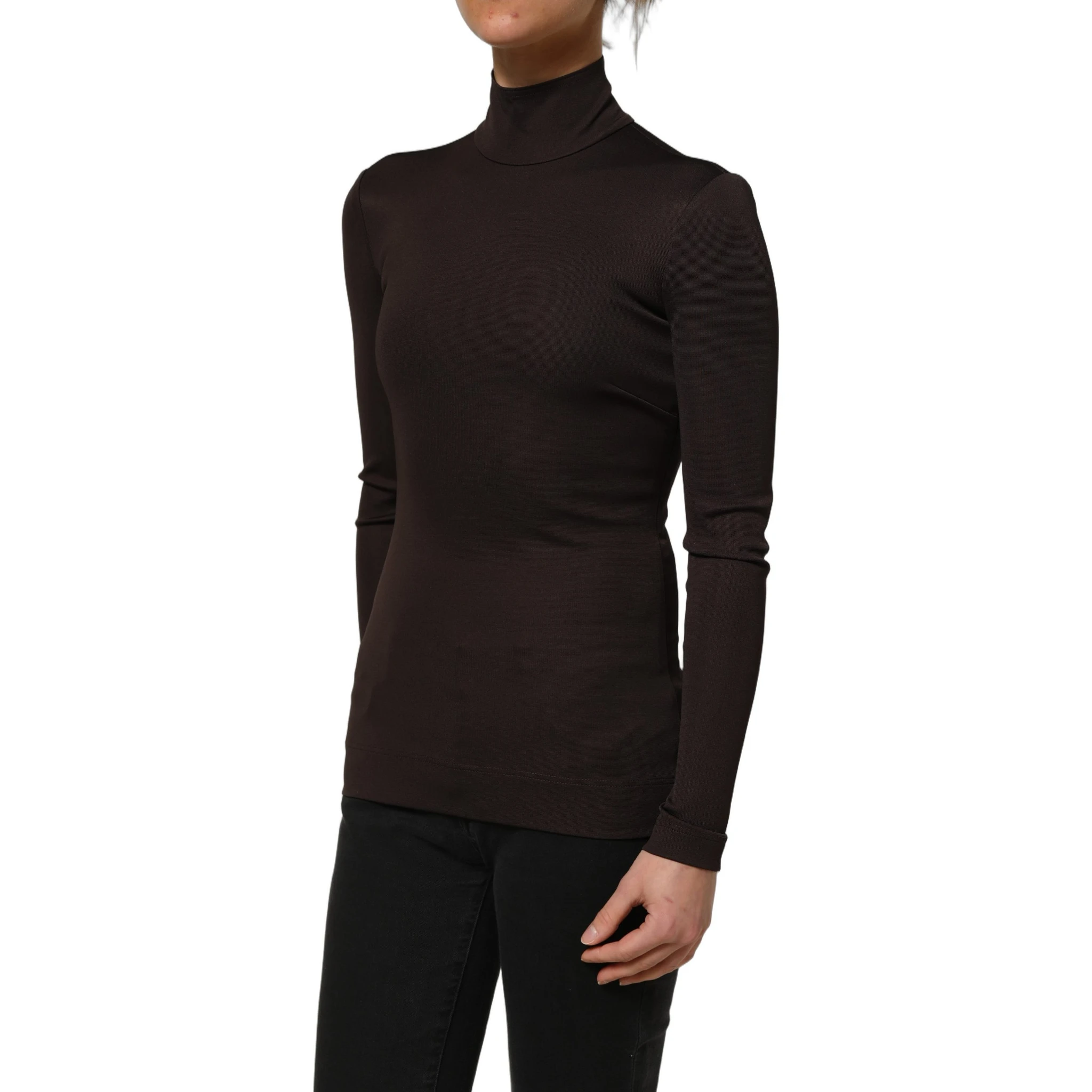 Brown Turtleneck Long Sleeves Blouse Top