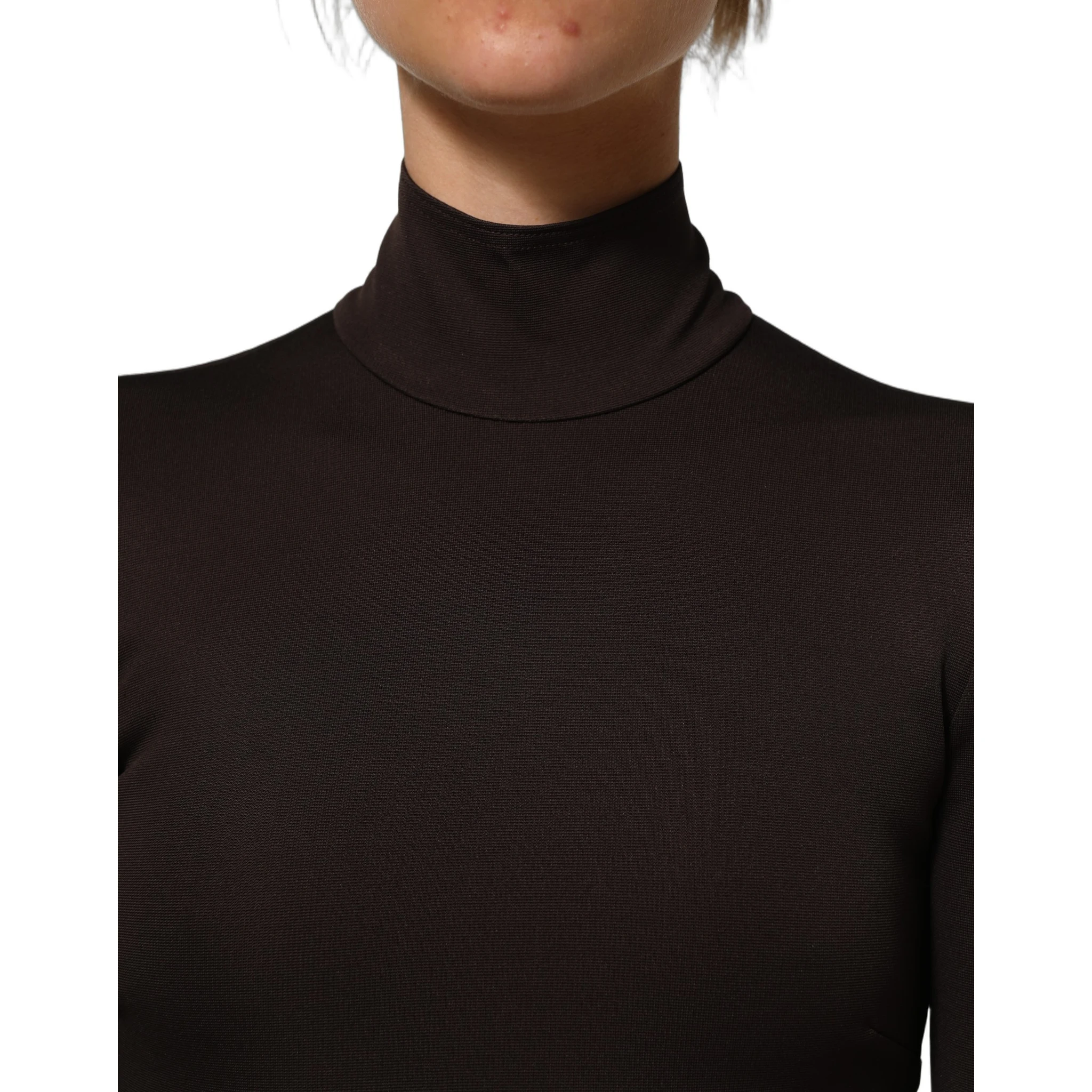 Brown Turtleneck Long Sleeves Blouse Top