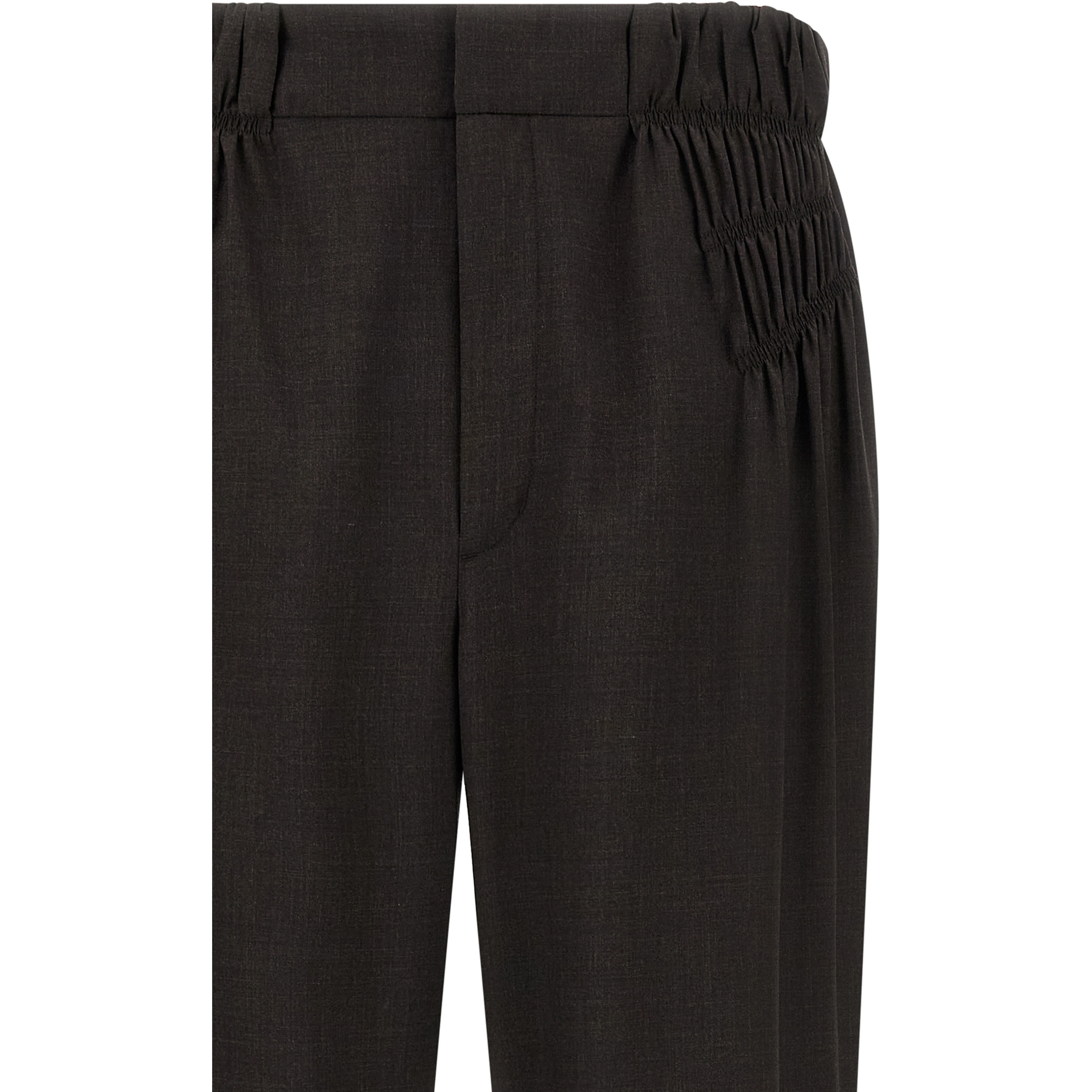 Brown Virgin Wool Casual Pants