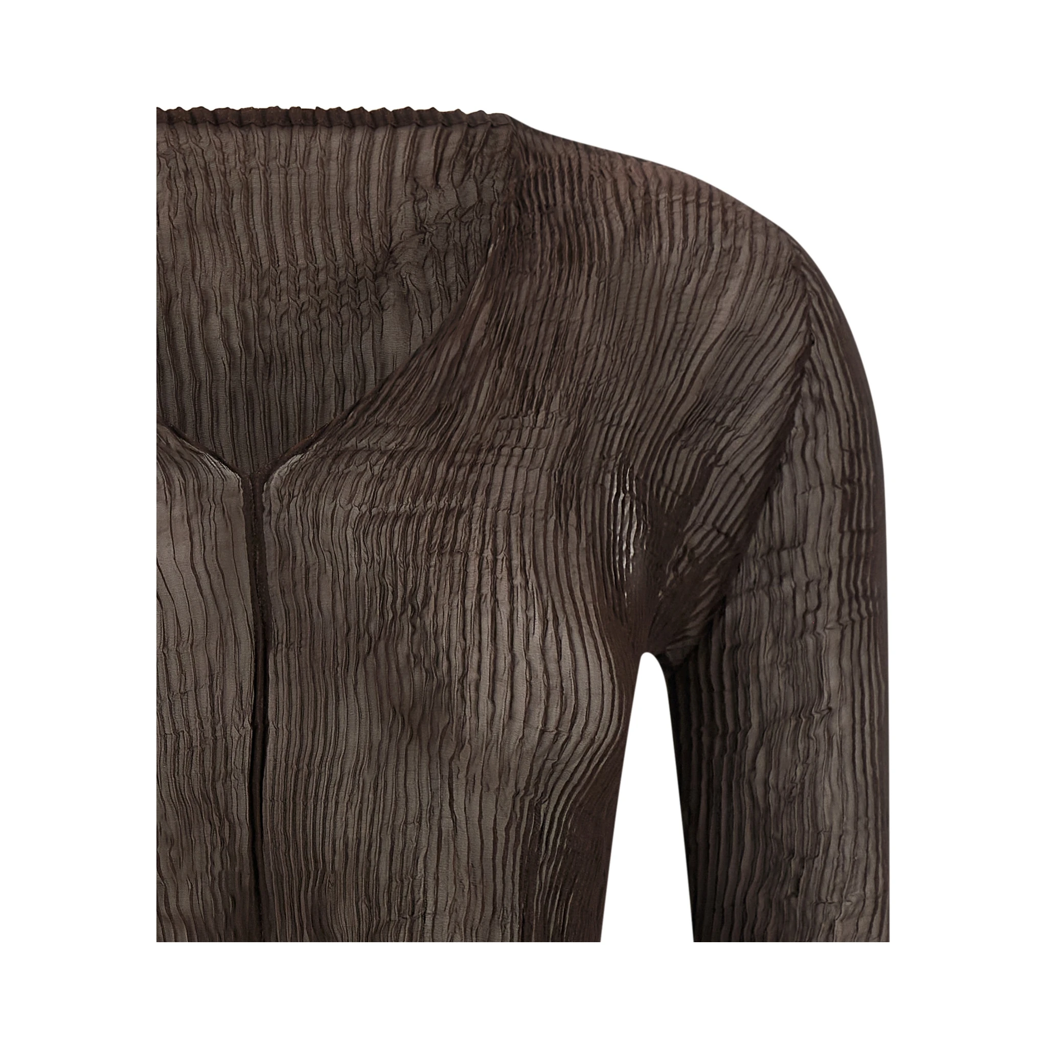 Brown Polyester Blouse