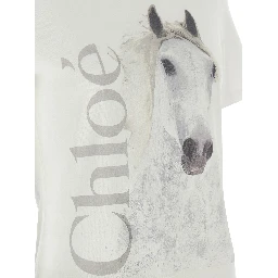 White Cotton T-Shirt