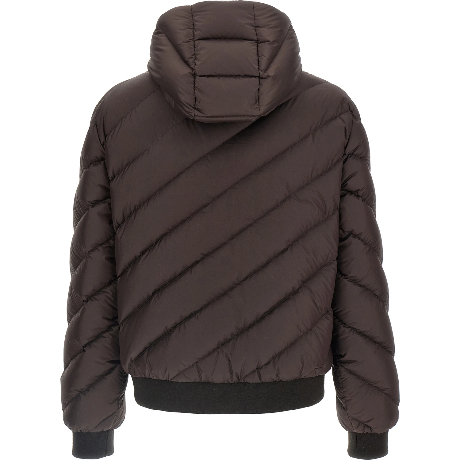 Multicolor Polyester Shell Jacket