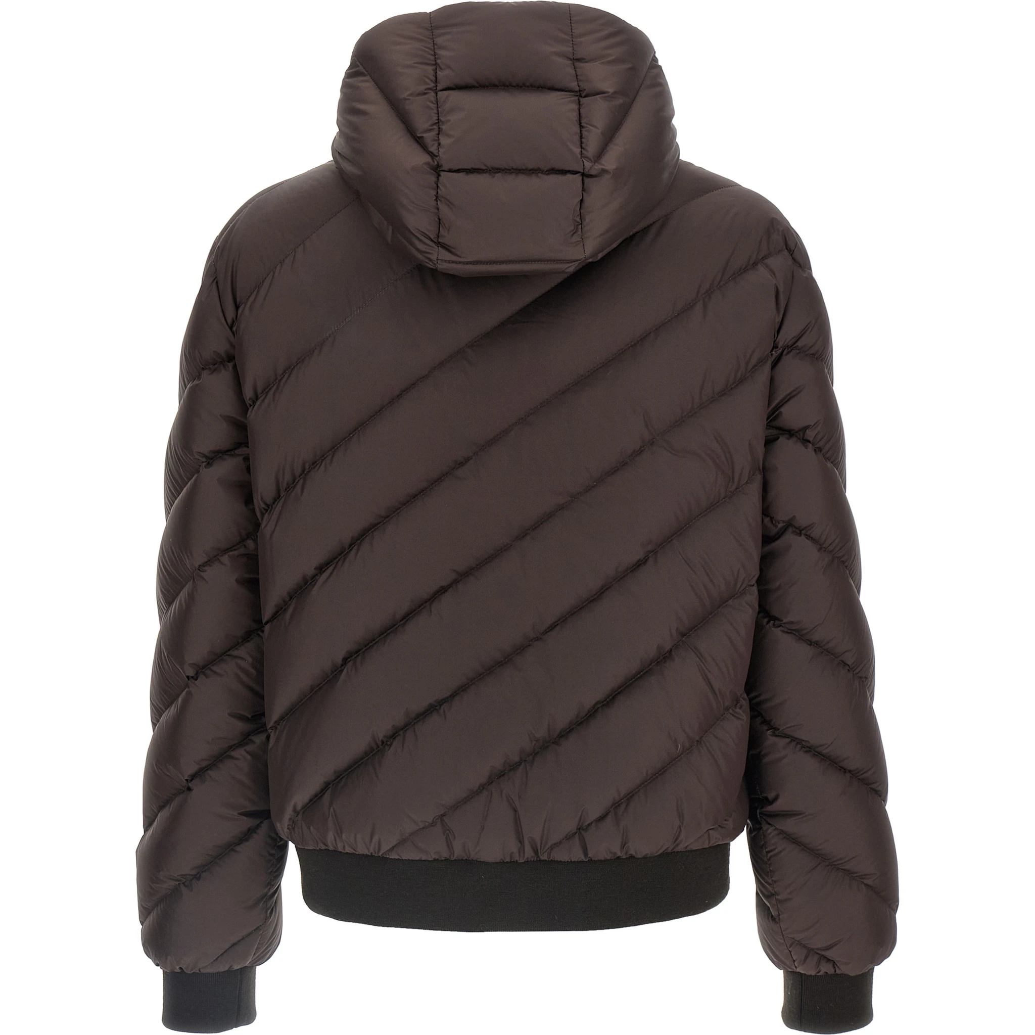 Multicolor Polyester Shell Jacket