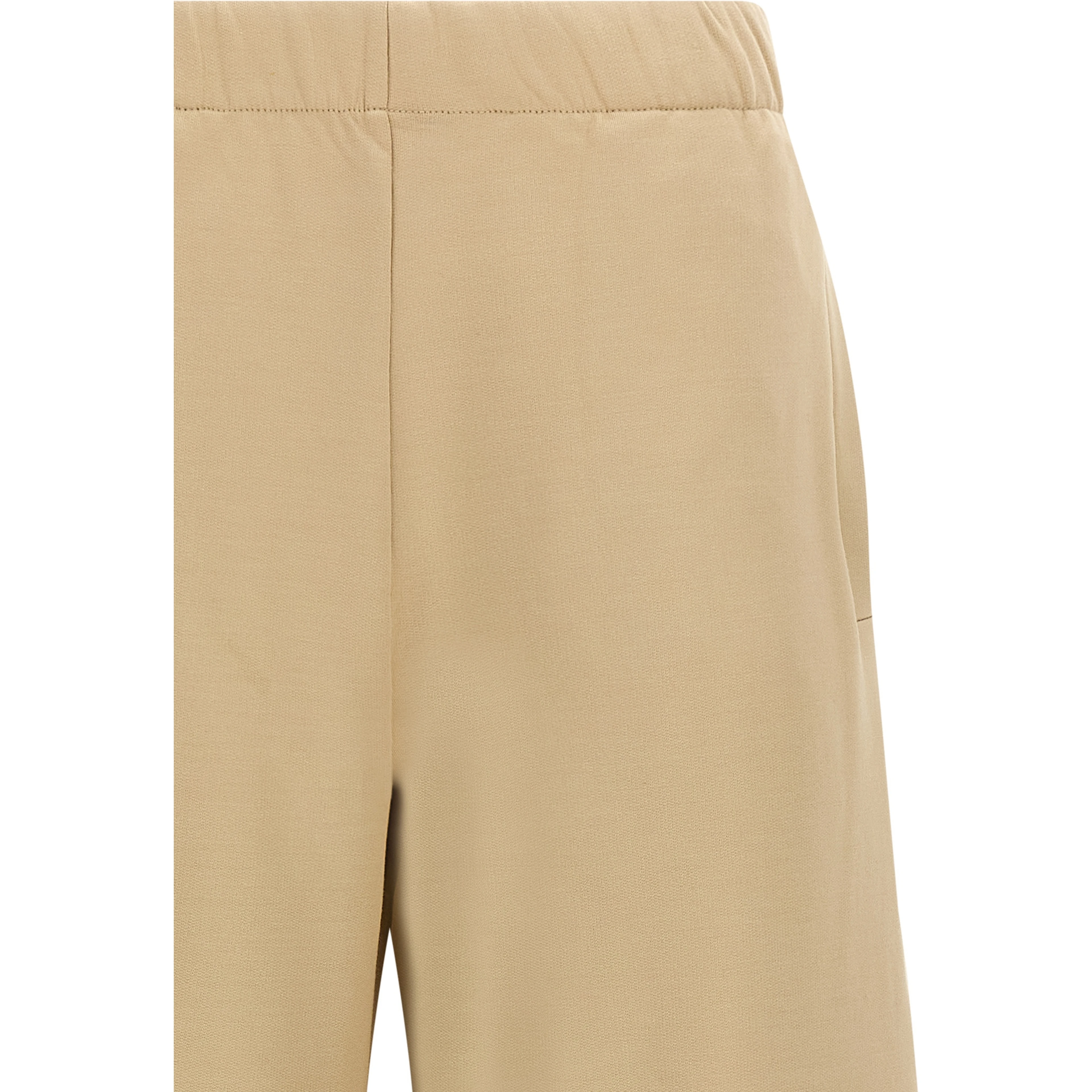 Brown Silk Casual Pants