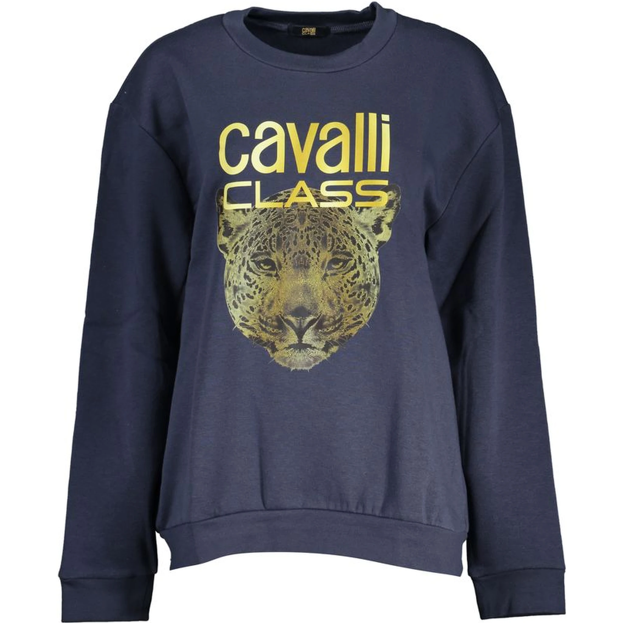 Blue Polyester Women Sweatshirt