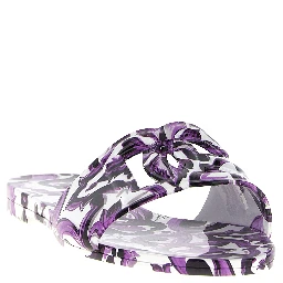 Purple Plastic Slides