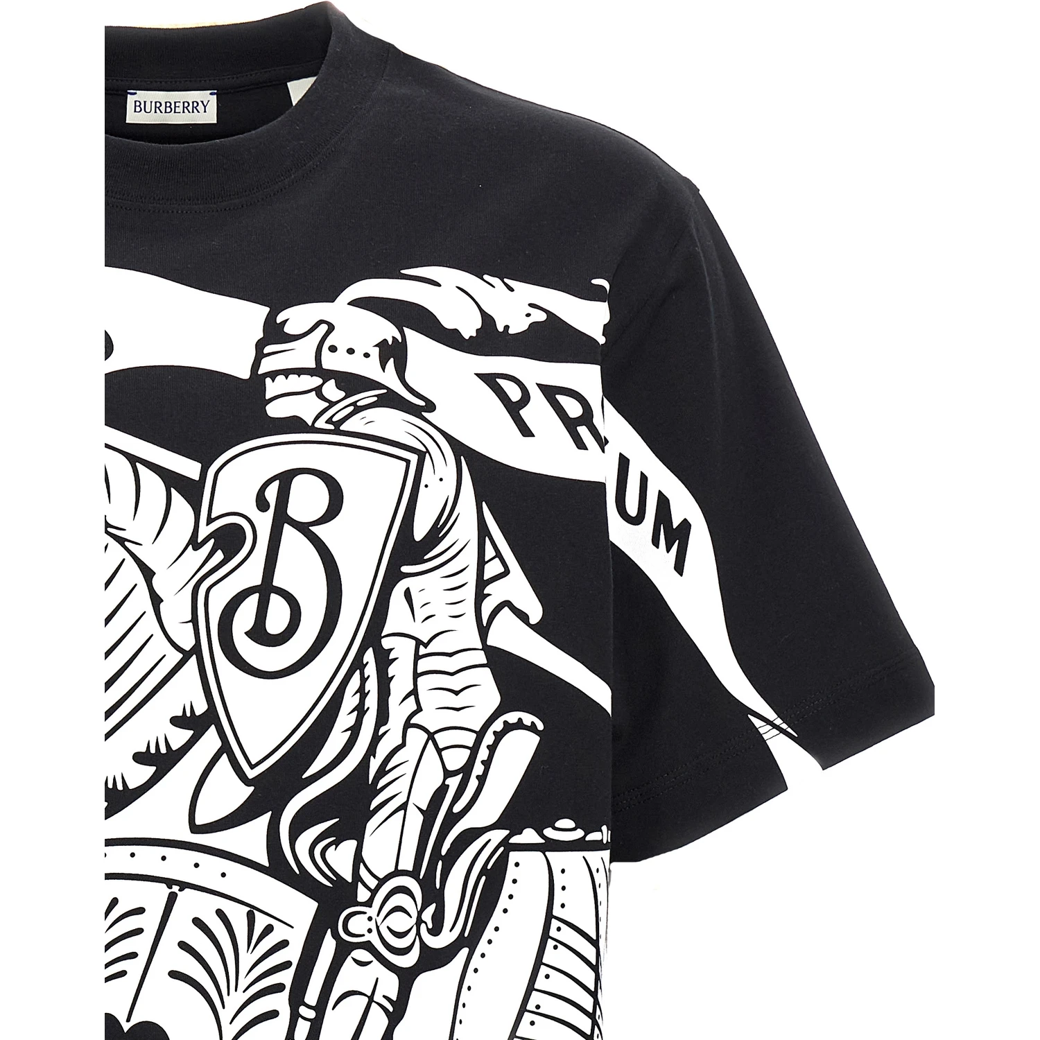 Bicolor Cotton T-Shirt
