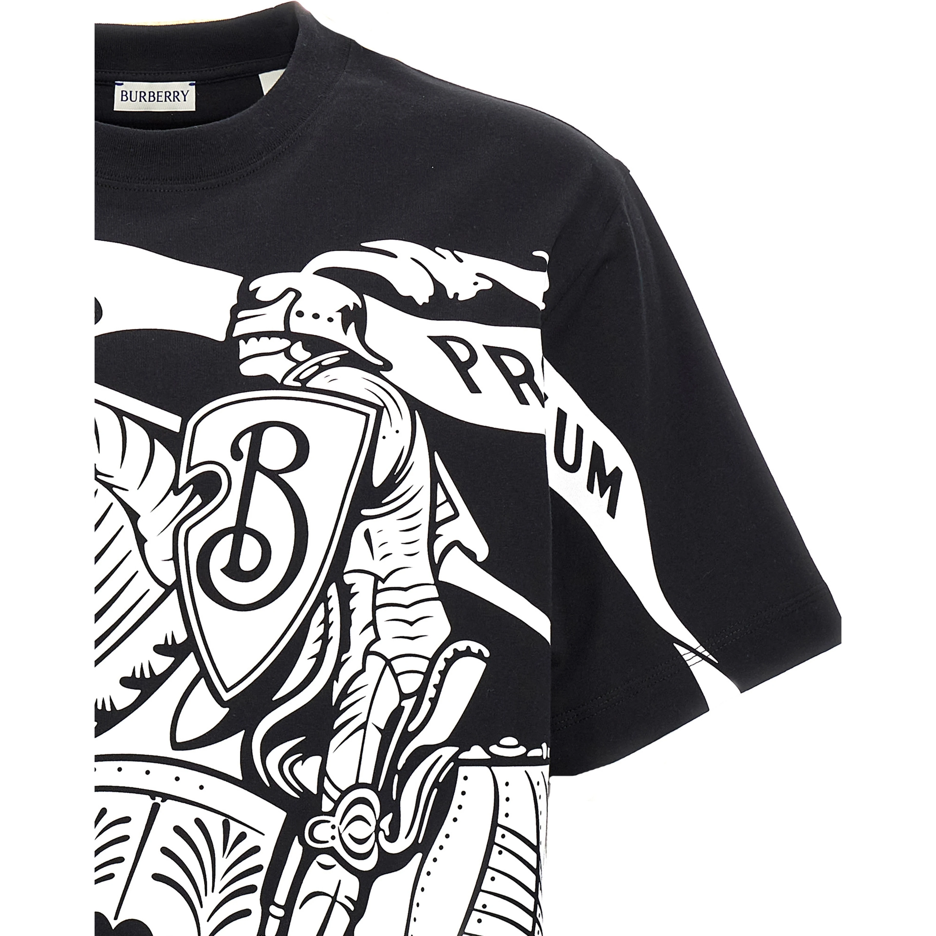 Bicolor Cotton T-Shirt
