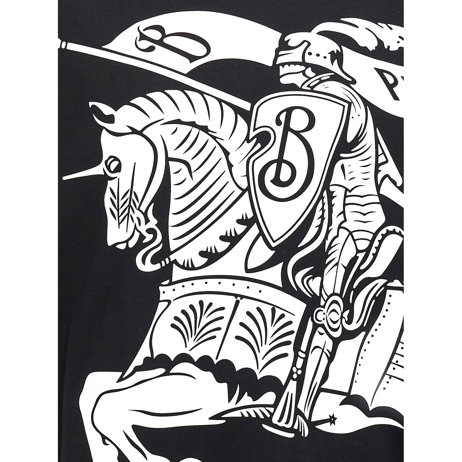Bicolor Cotton T-Shirt