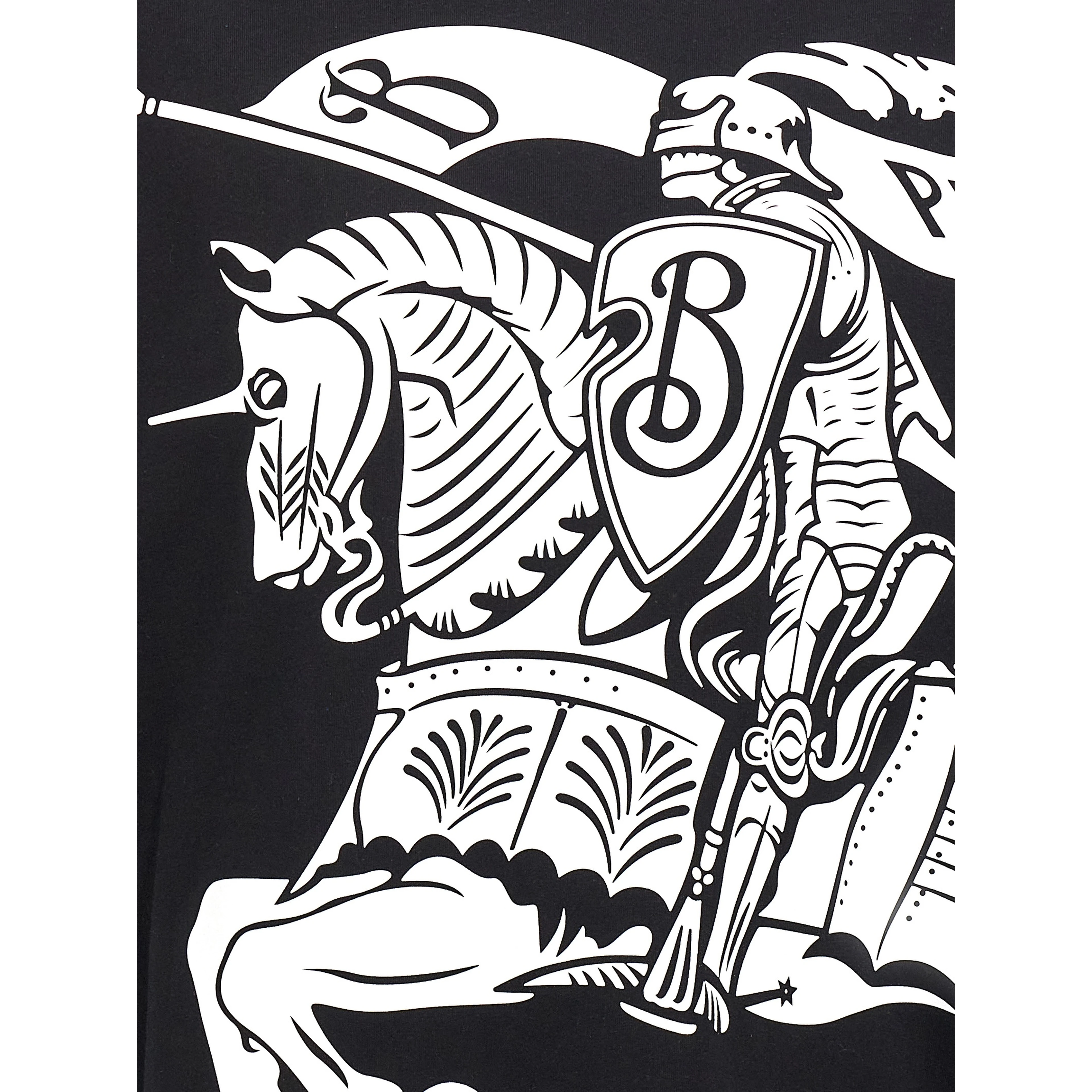 Bicolor Cotton T-Shirt