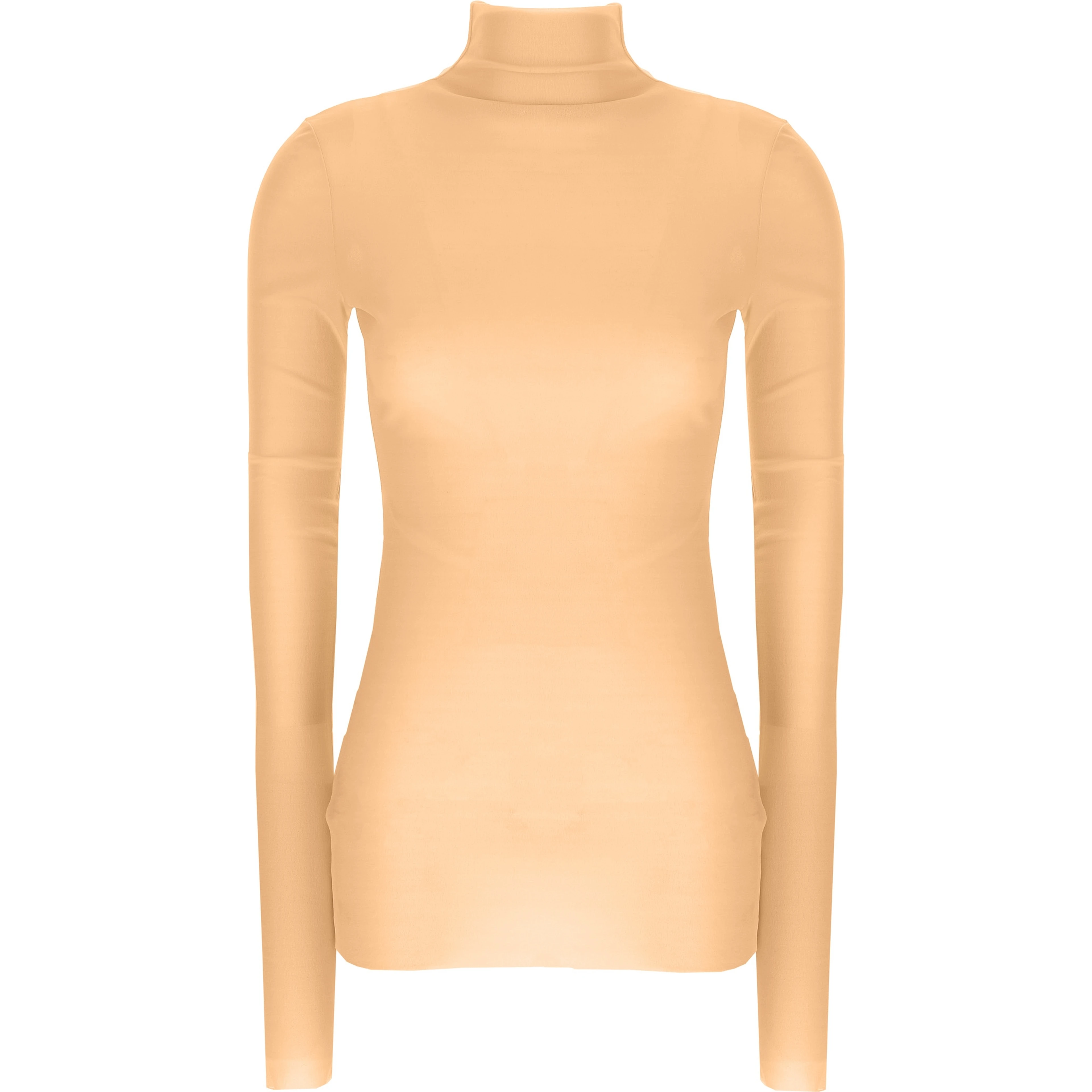 Multicolor Silk Turtleneck