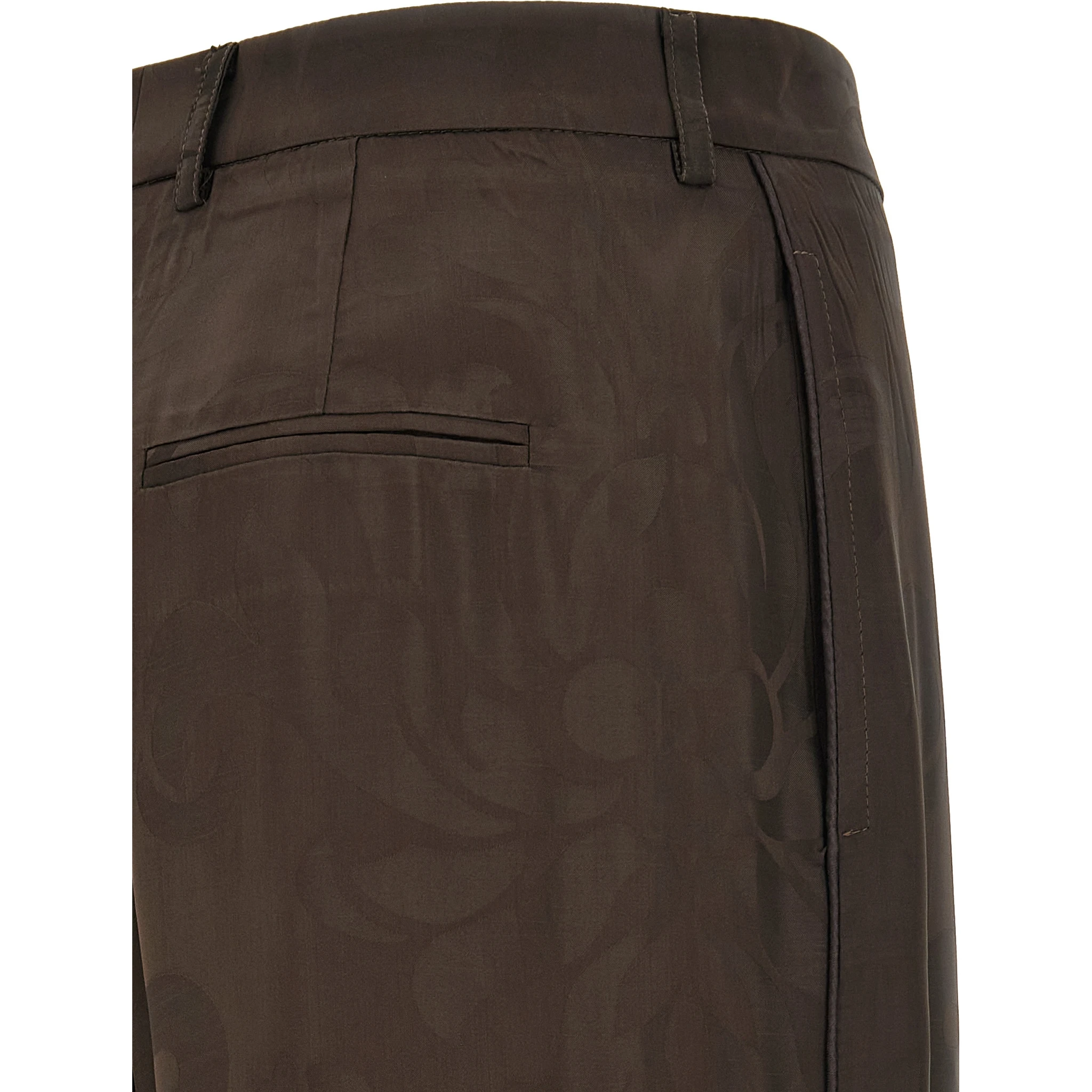 Brown Viscose Casual Pants