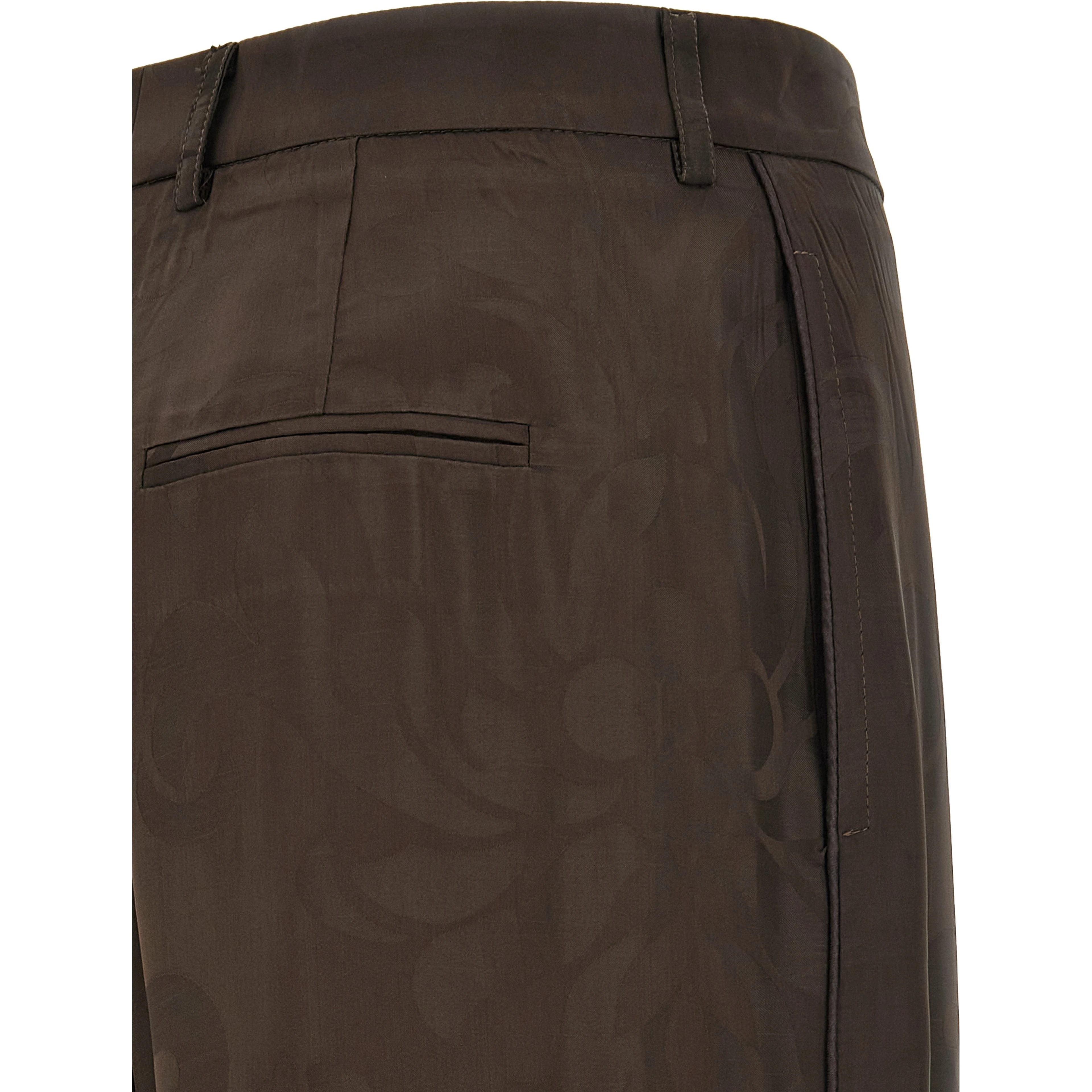 Brown Viscose Casual Pants