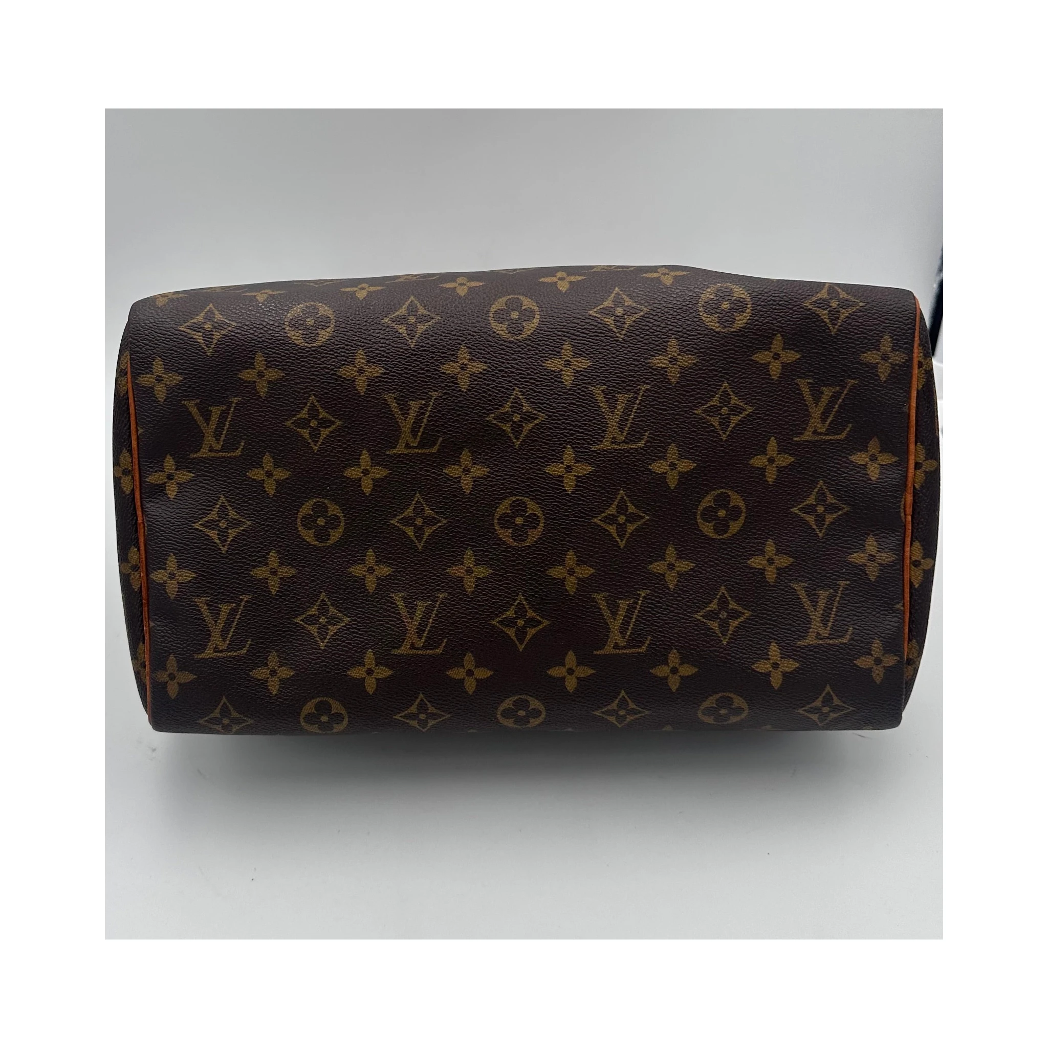 LOUIS VUITTON Speedy 30 Monogram Handbag