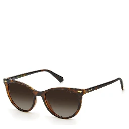 Brown Resin Sunglasses