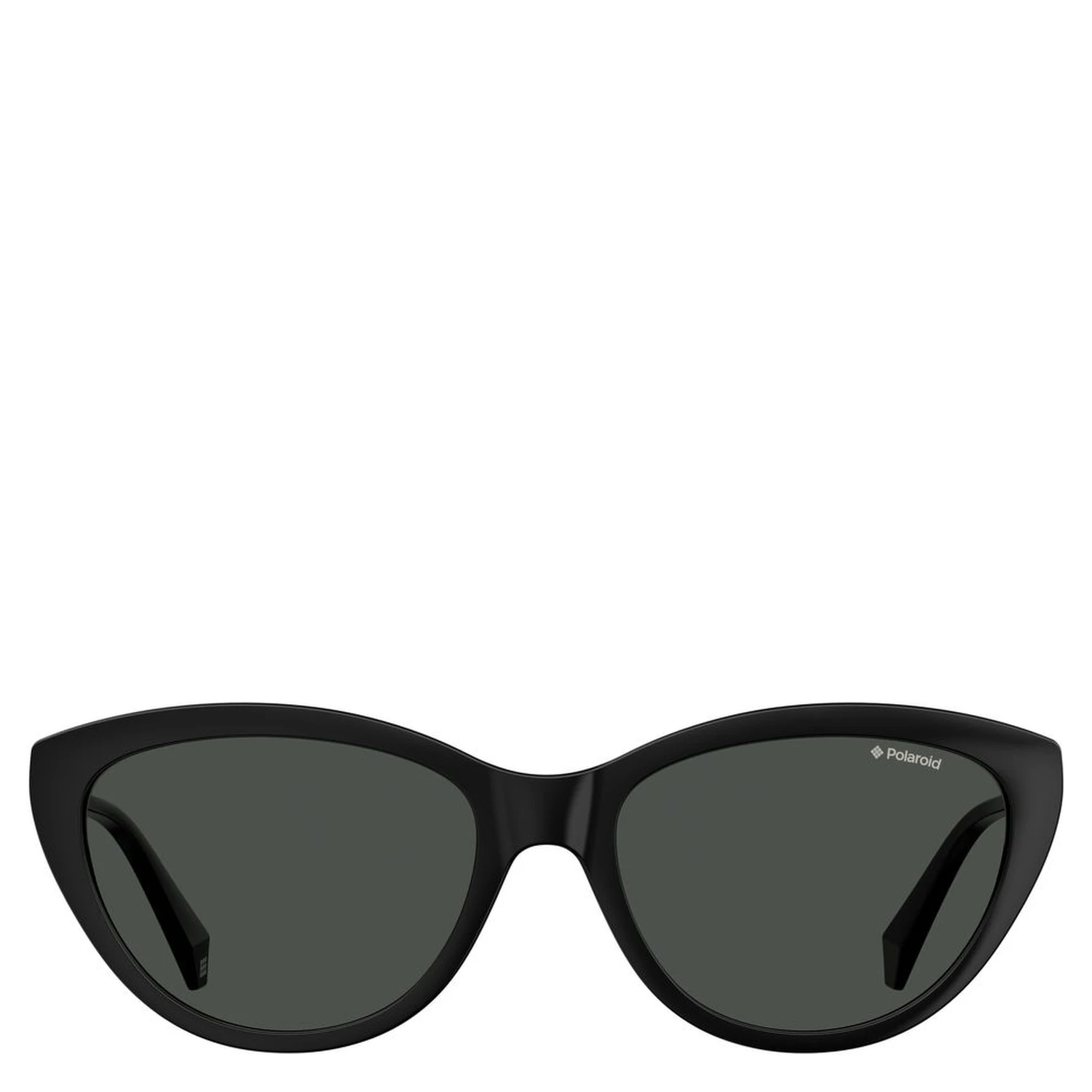 Black Plastic Sunglasses