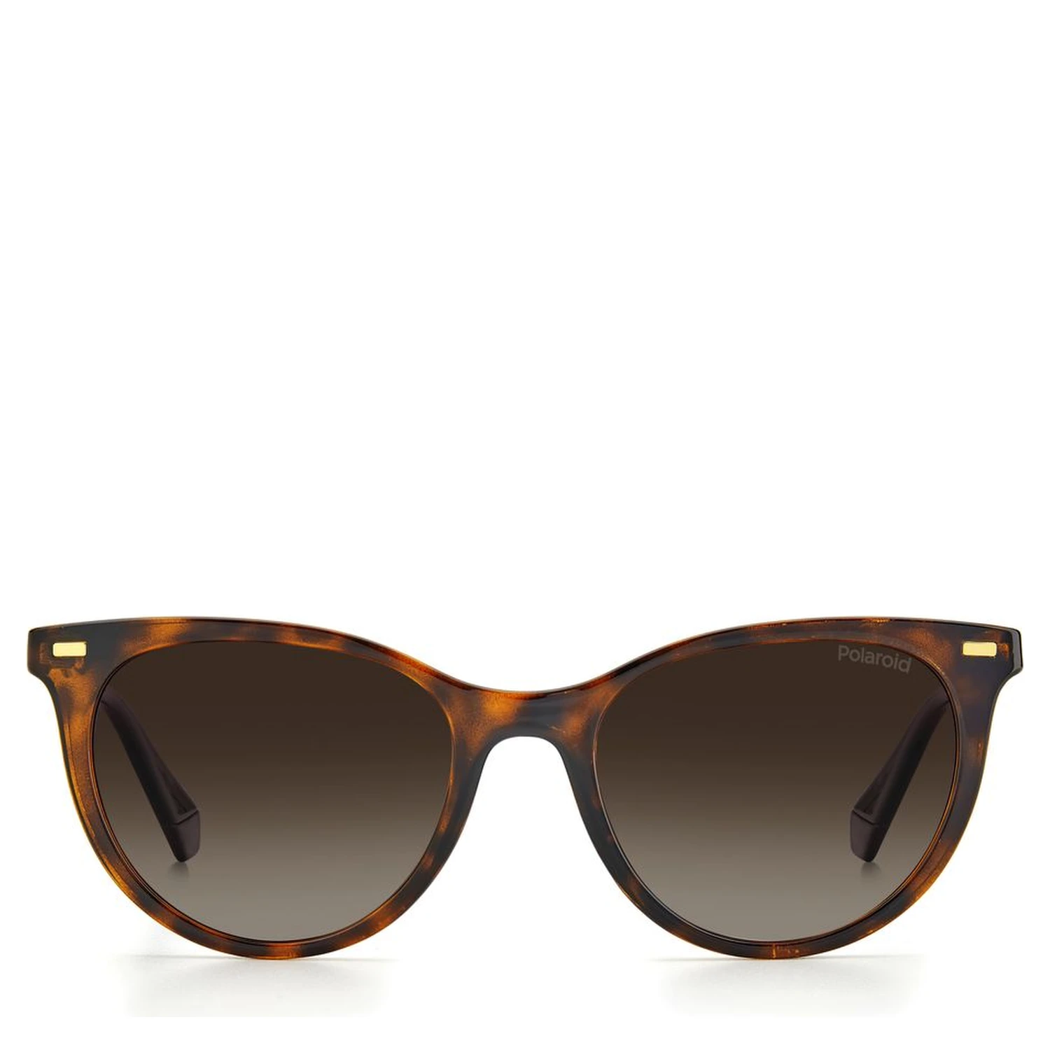 Brown Resin Sunglasses
