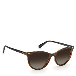 Brown Resin Sunglasses