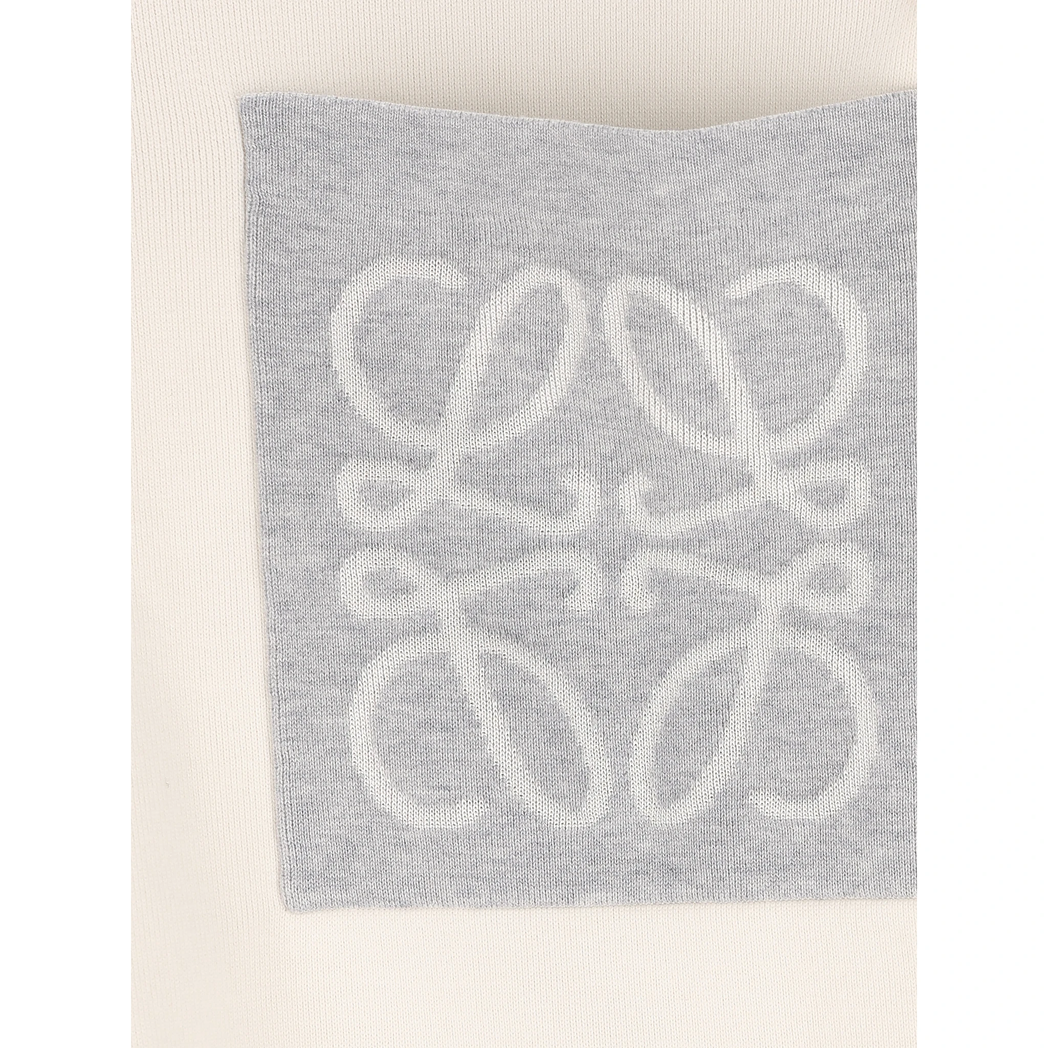 LOEWE Sweaters