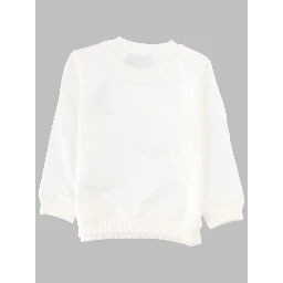 sweatshirt (c.o)