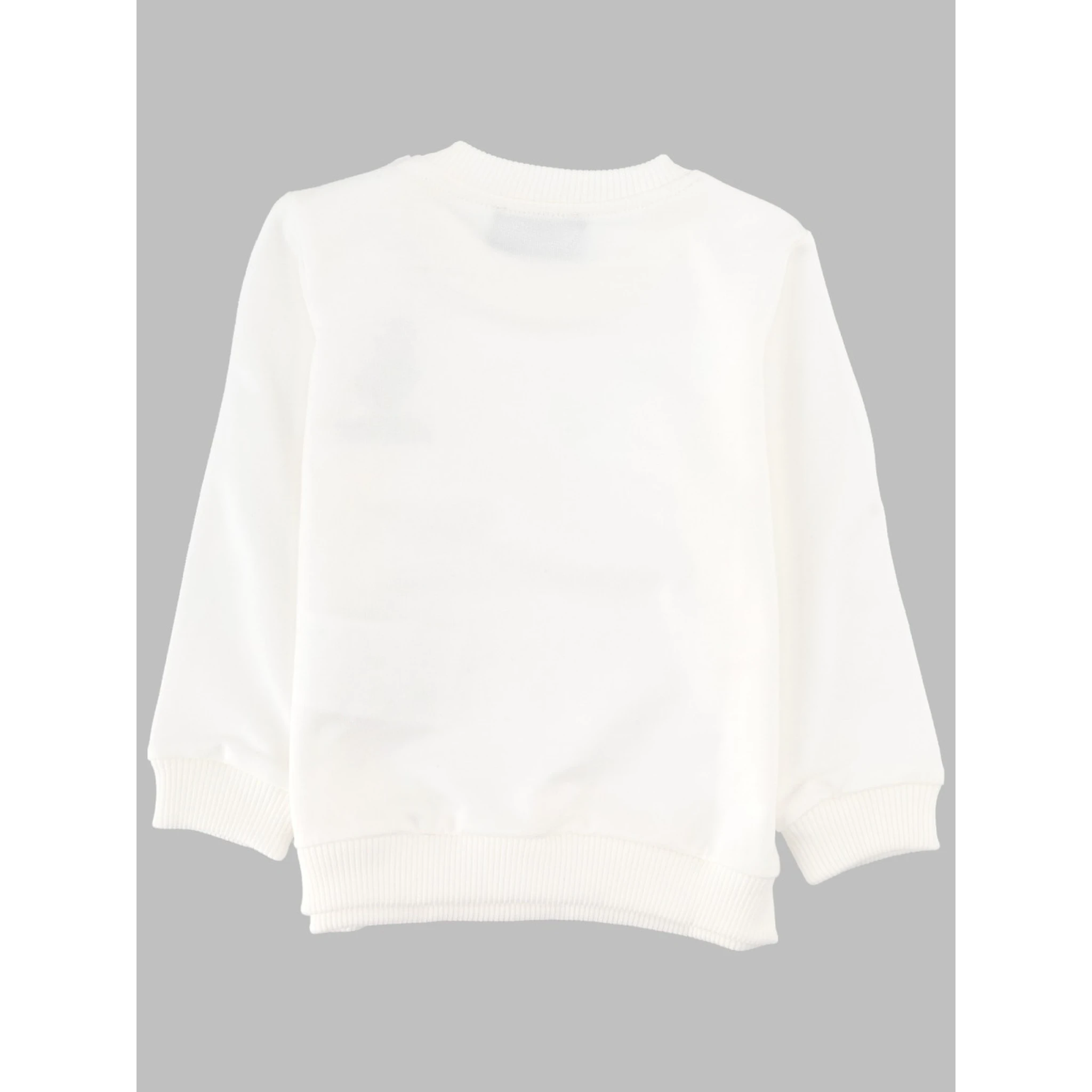 sweatshirt (c.o)