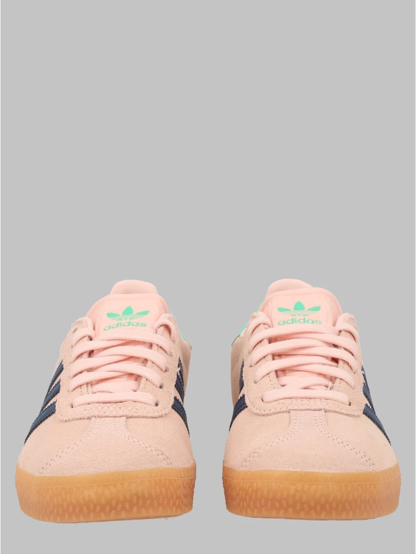 gazelle c