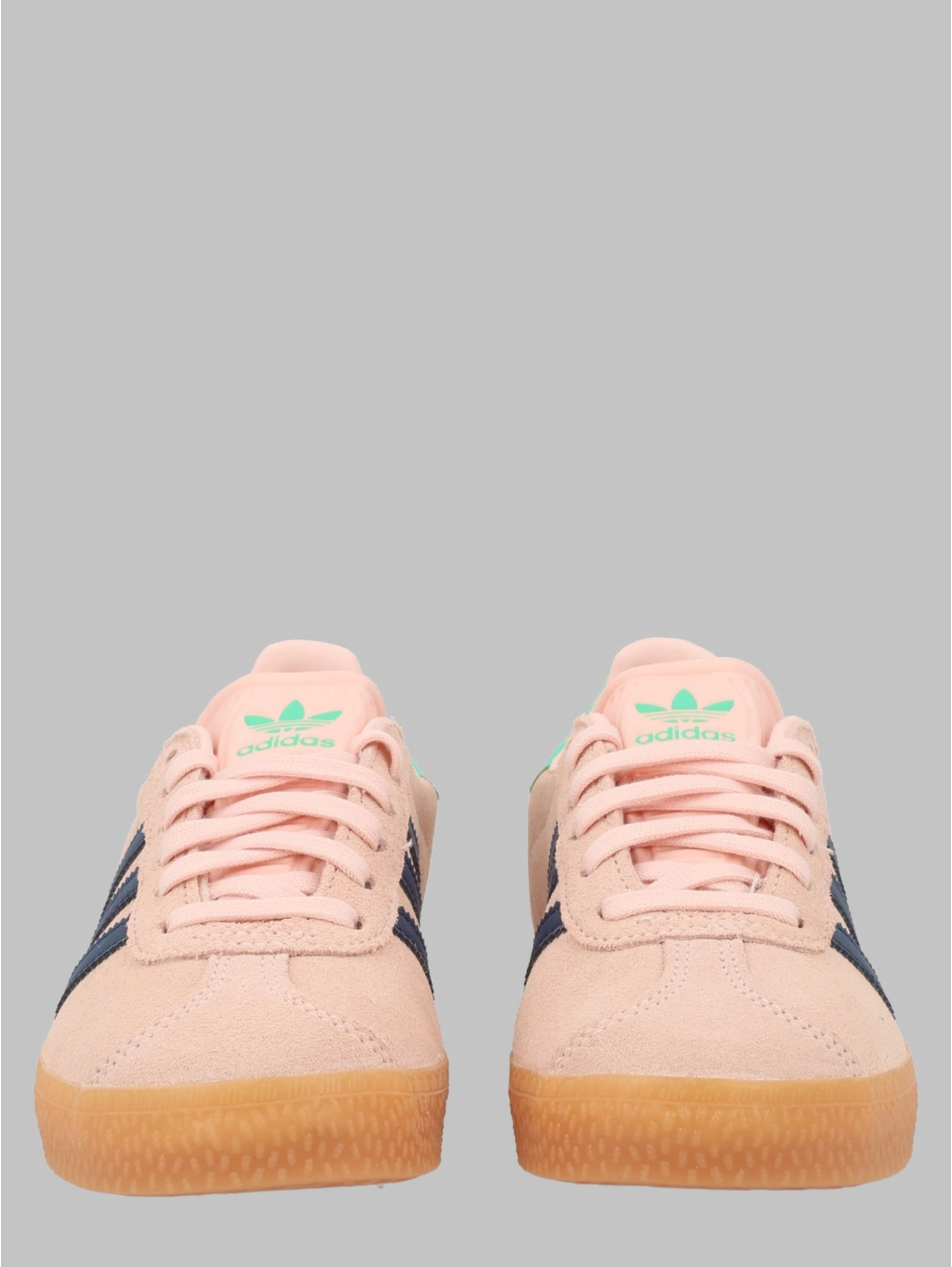 gazelle c