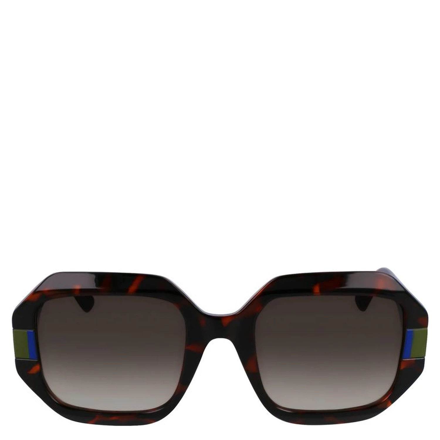 Brown Injected Sunglasses
