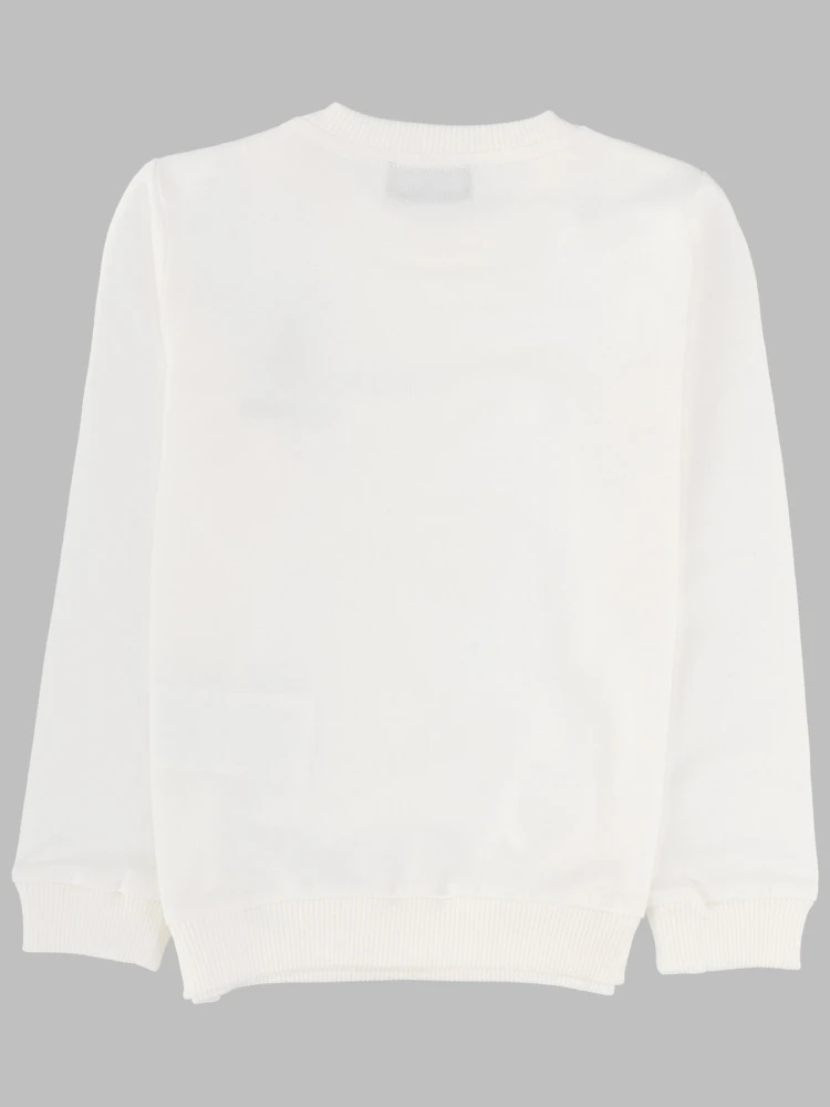 sweatshirt (c.o) alternative