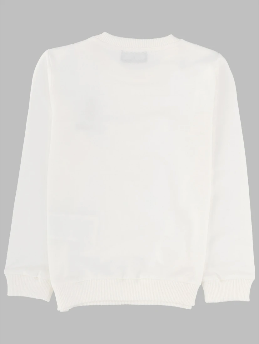 sweatshirt (c.o)