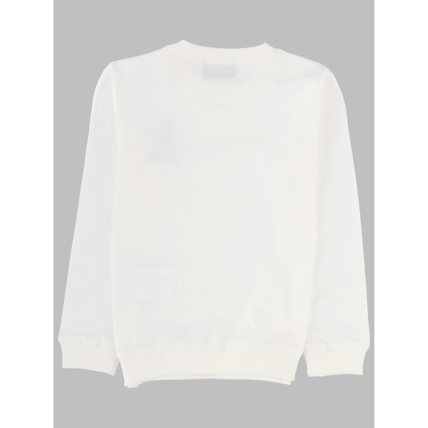 sweatshirt (c.o)