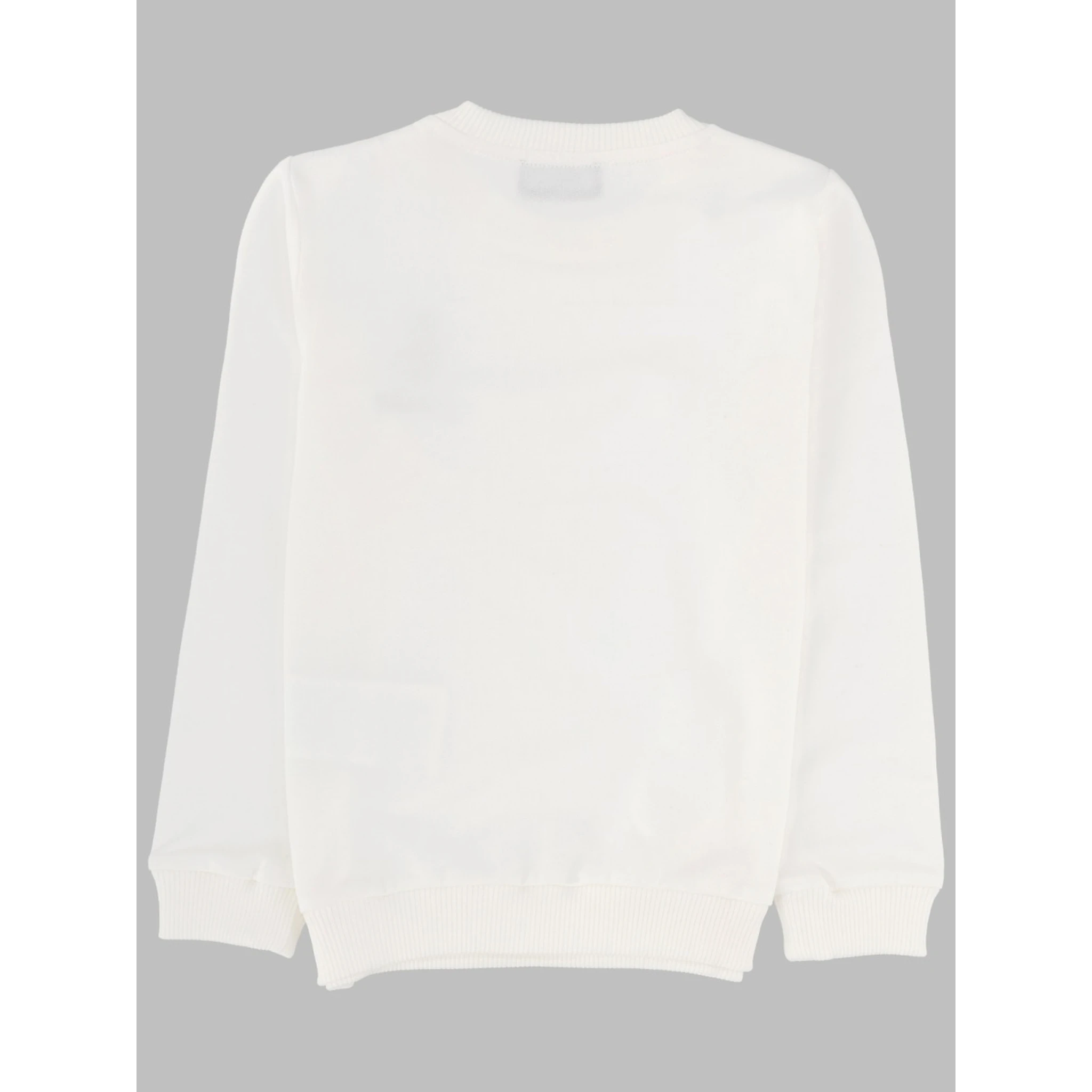 sweatshirt (c.o)