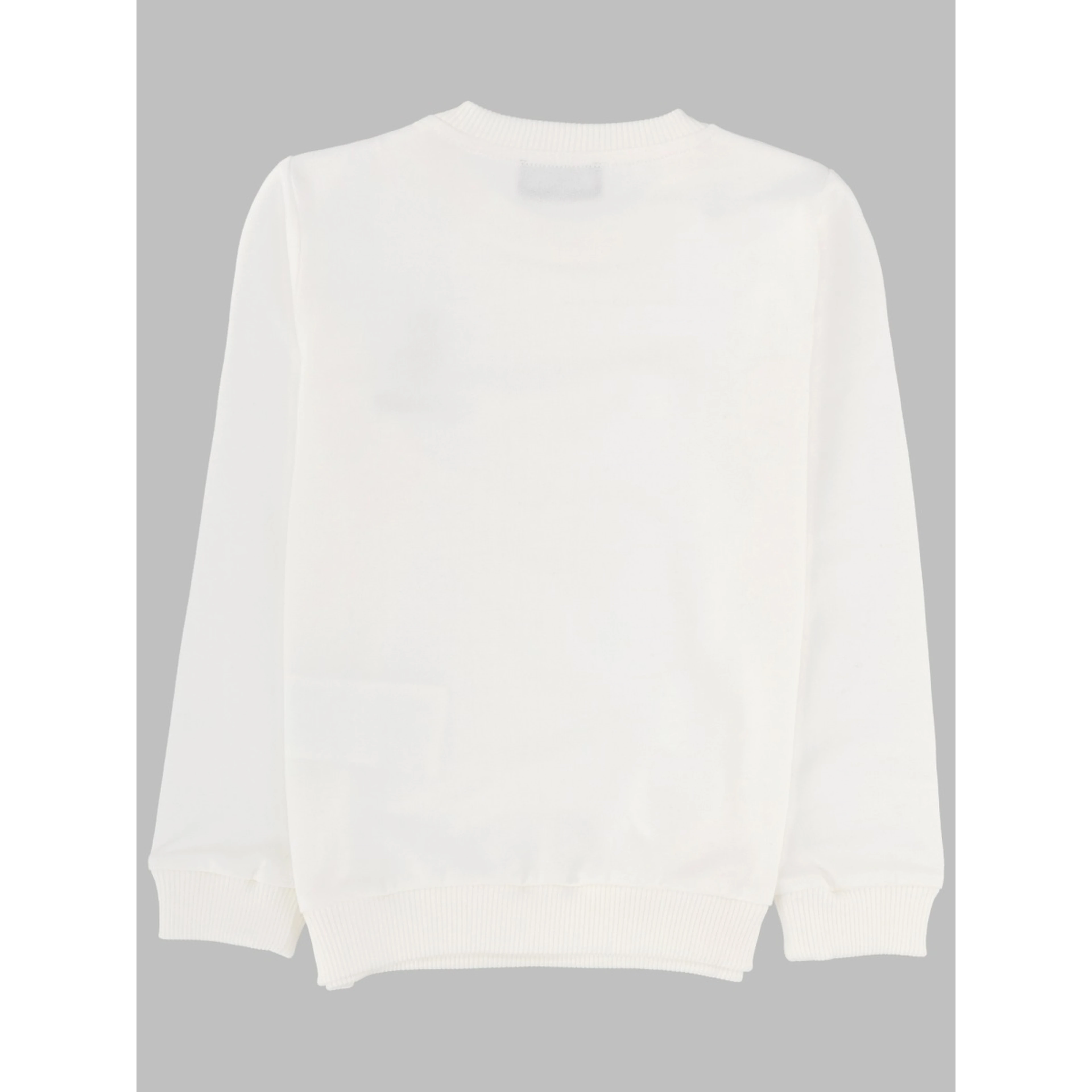 sweatshirt (c.o)