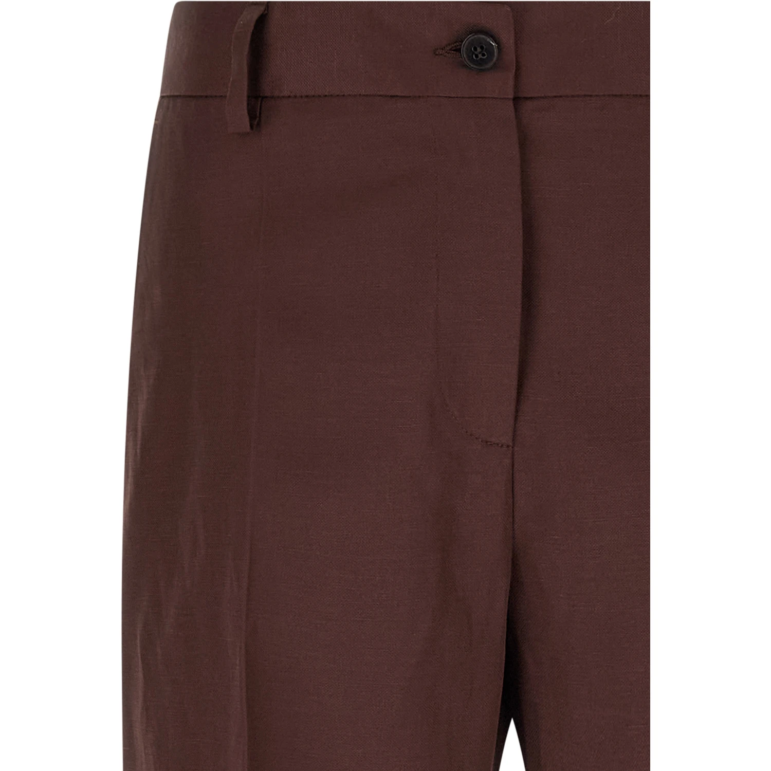 Brown Viscose Casual Pants