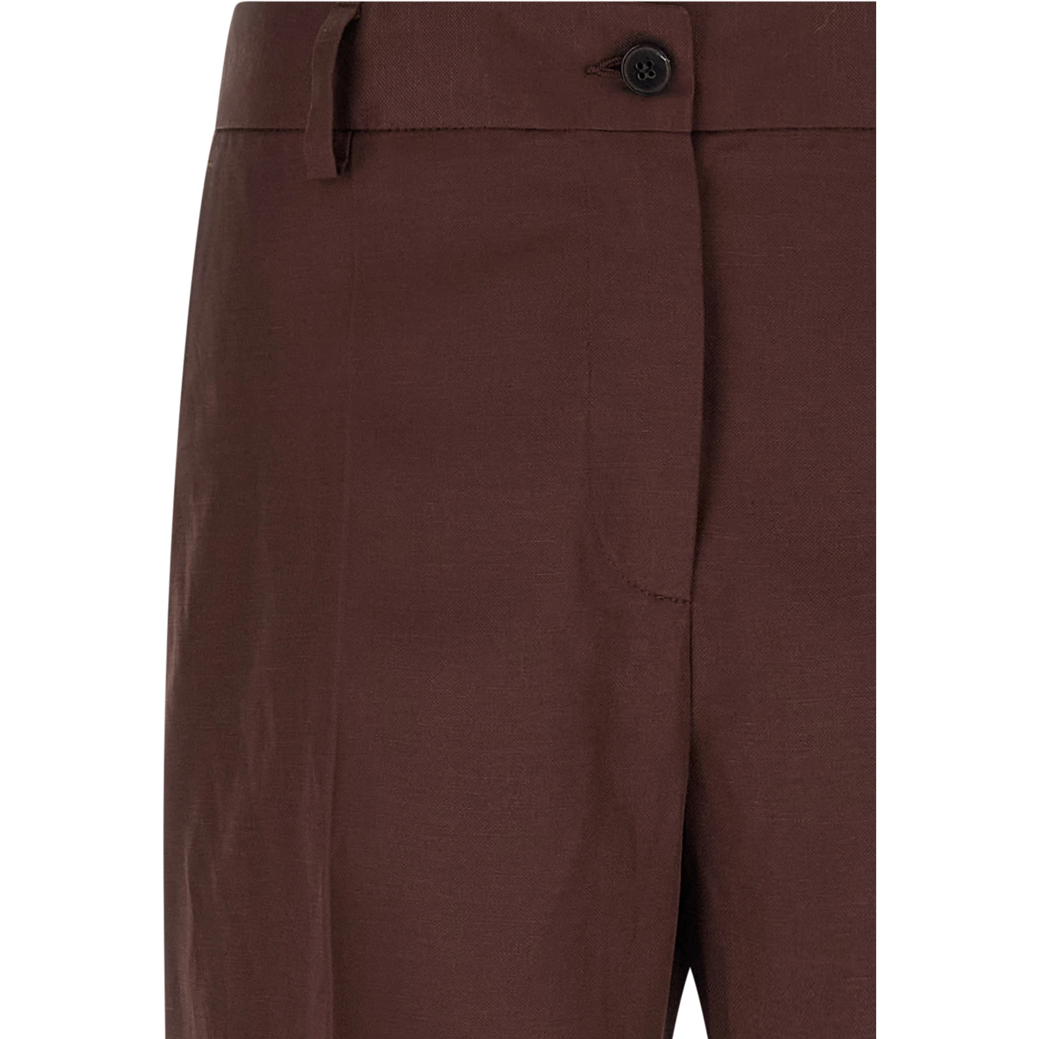 Brown Viscose Casual Pants