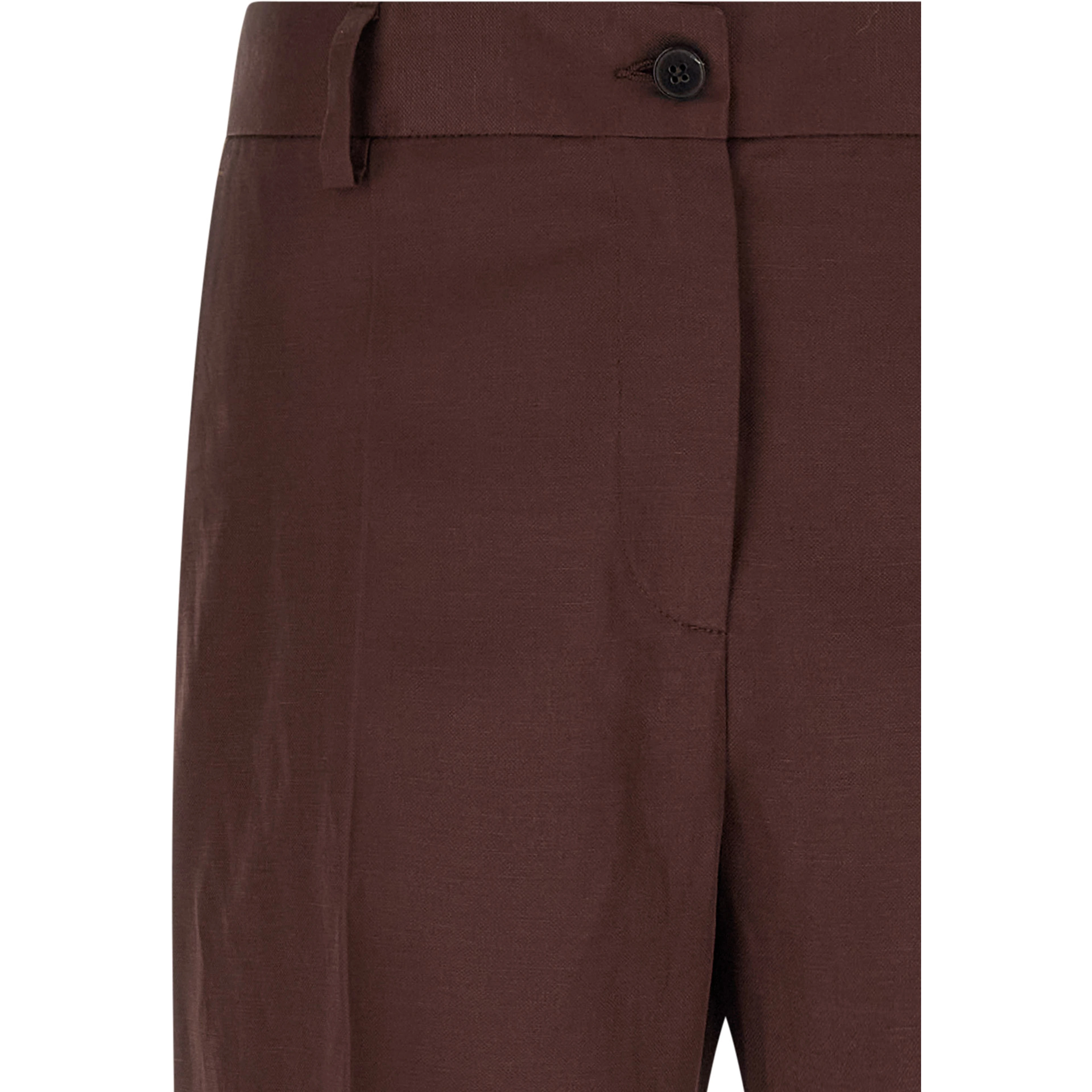 Brown Viscose Casual Pants