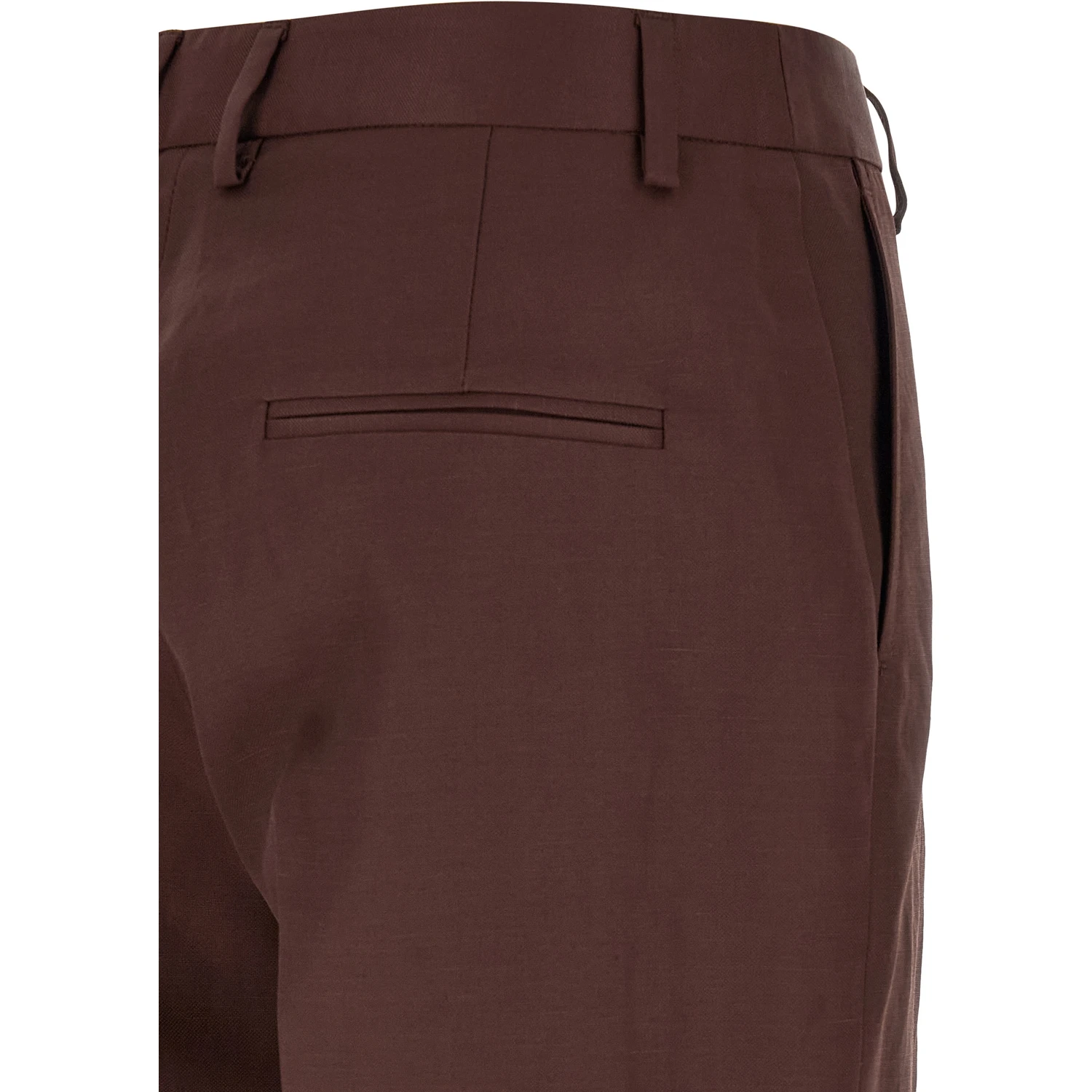 Brown Viscose Casual Pants