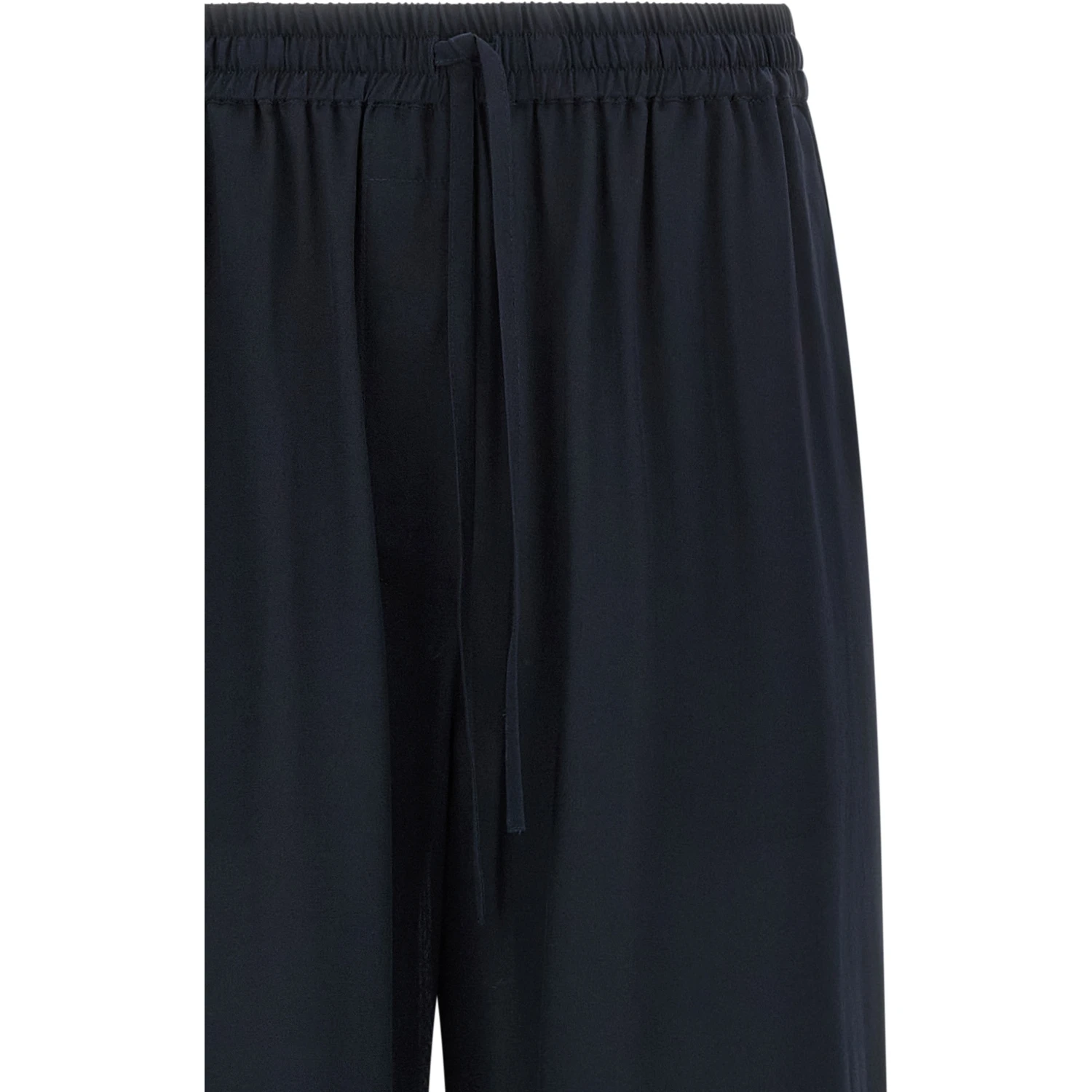 Blue Silk Casual Pants