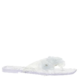 Transparent Pvc Slides