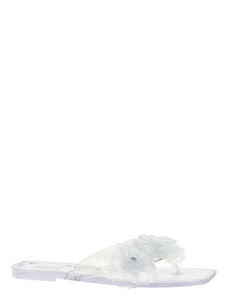 Transparent Pvc Slides